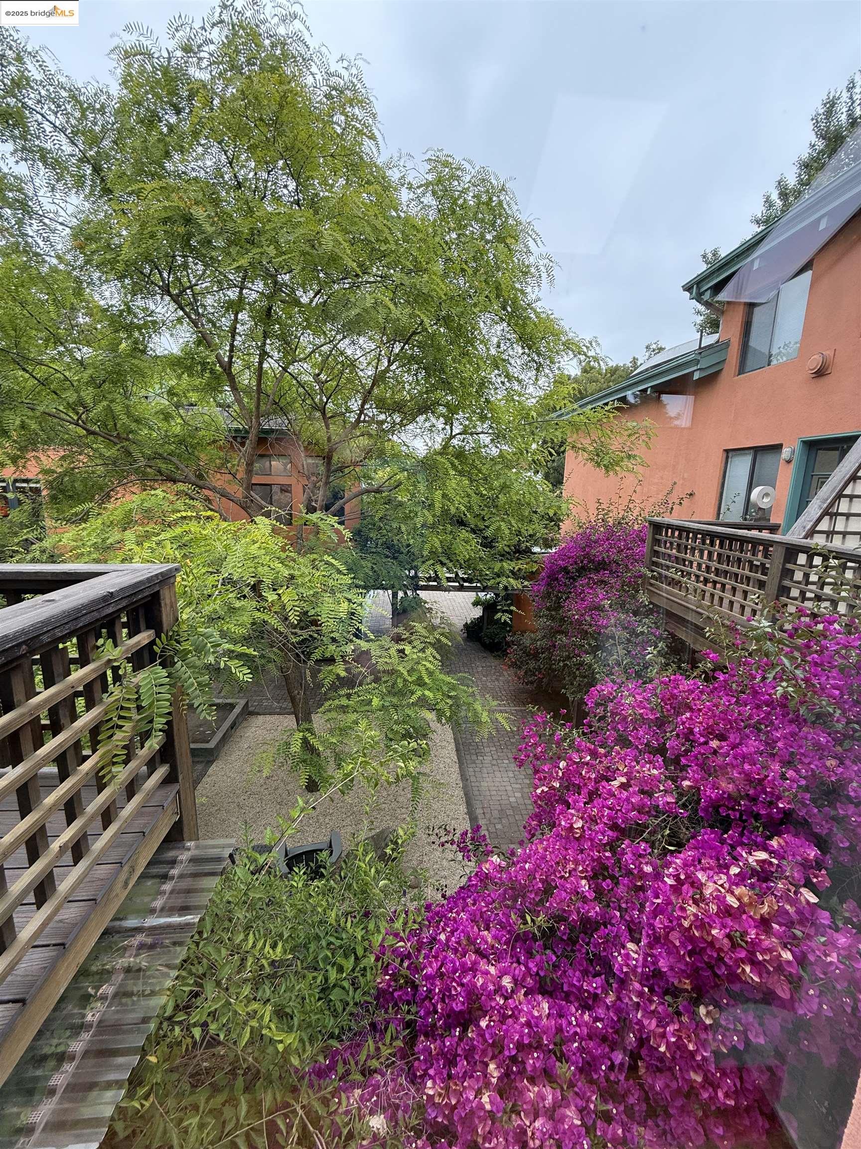 2120 6th Street # 11