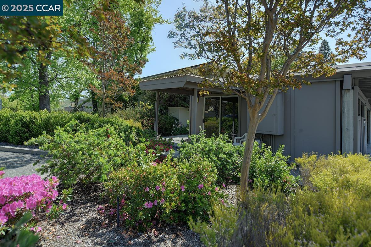 1300 Singingwood Ct. # 3