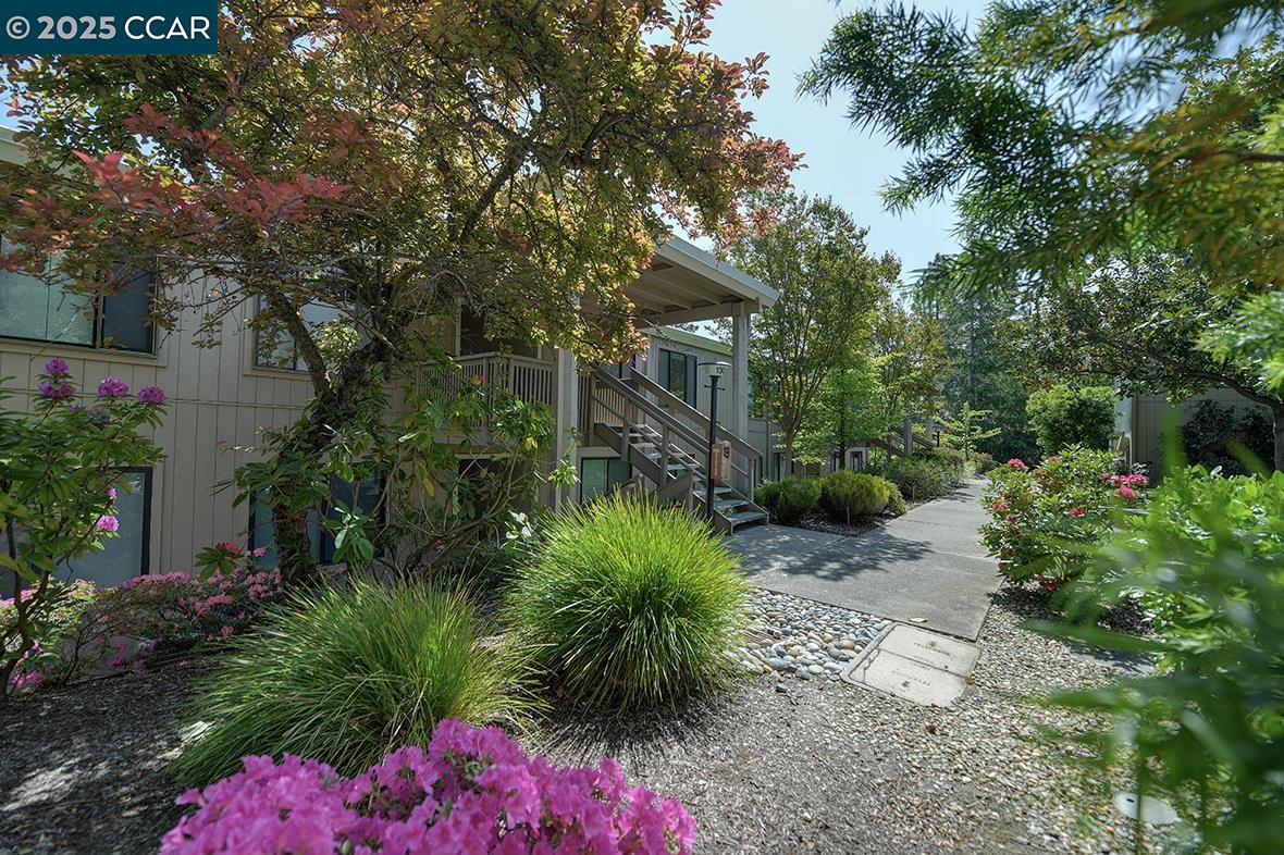 1300 Singingwood Ct. # 3