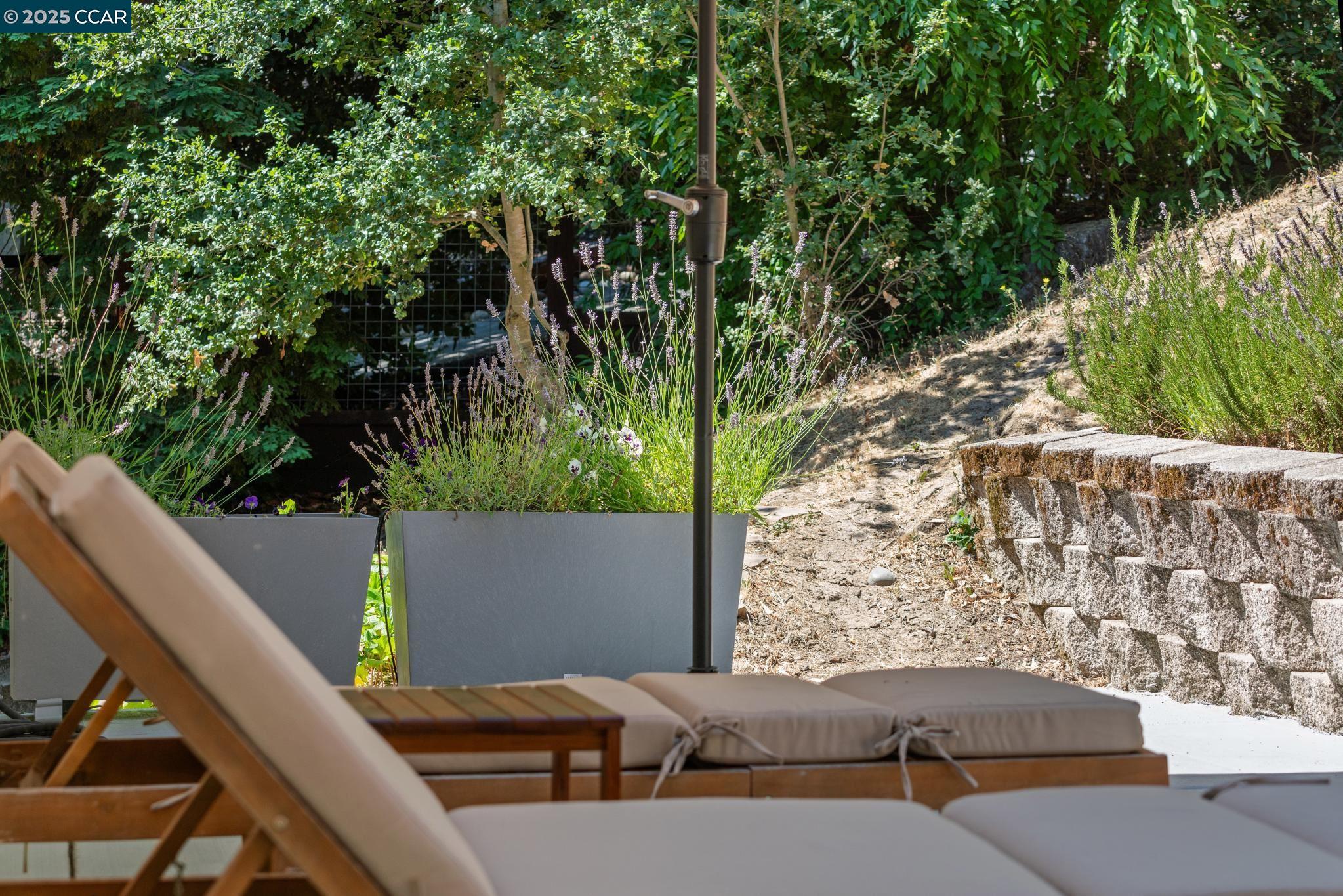 3555 Old Mountain View Dr