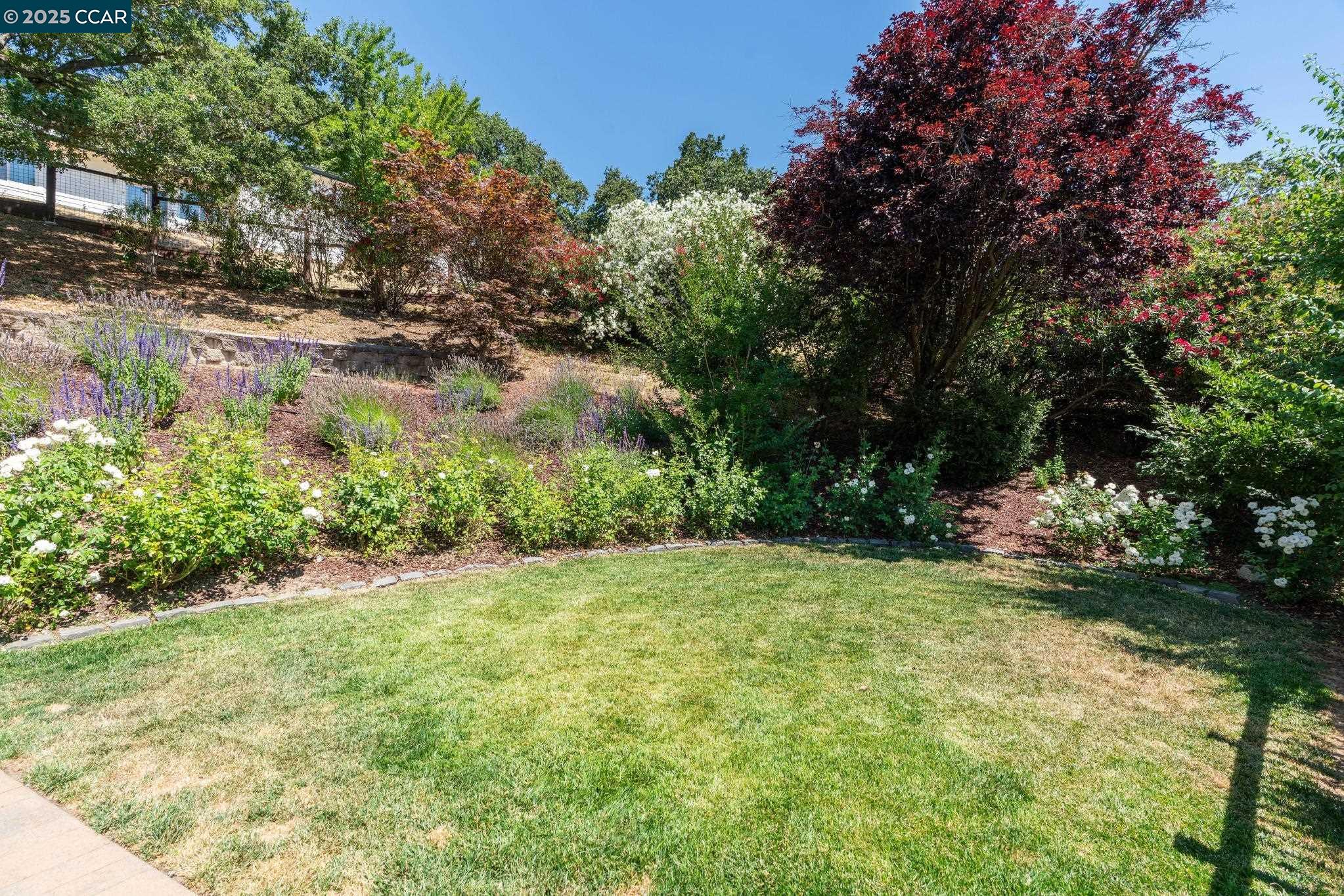 3555 Old Mountain View Dr