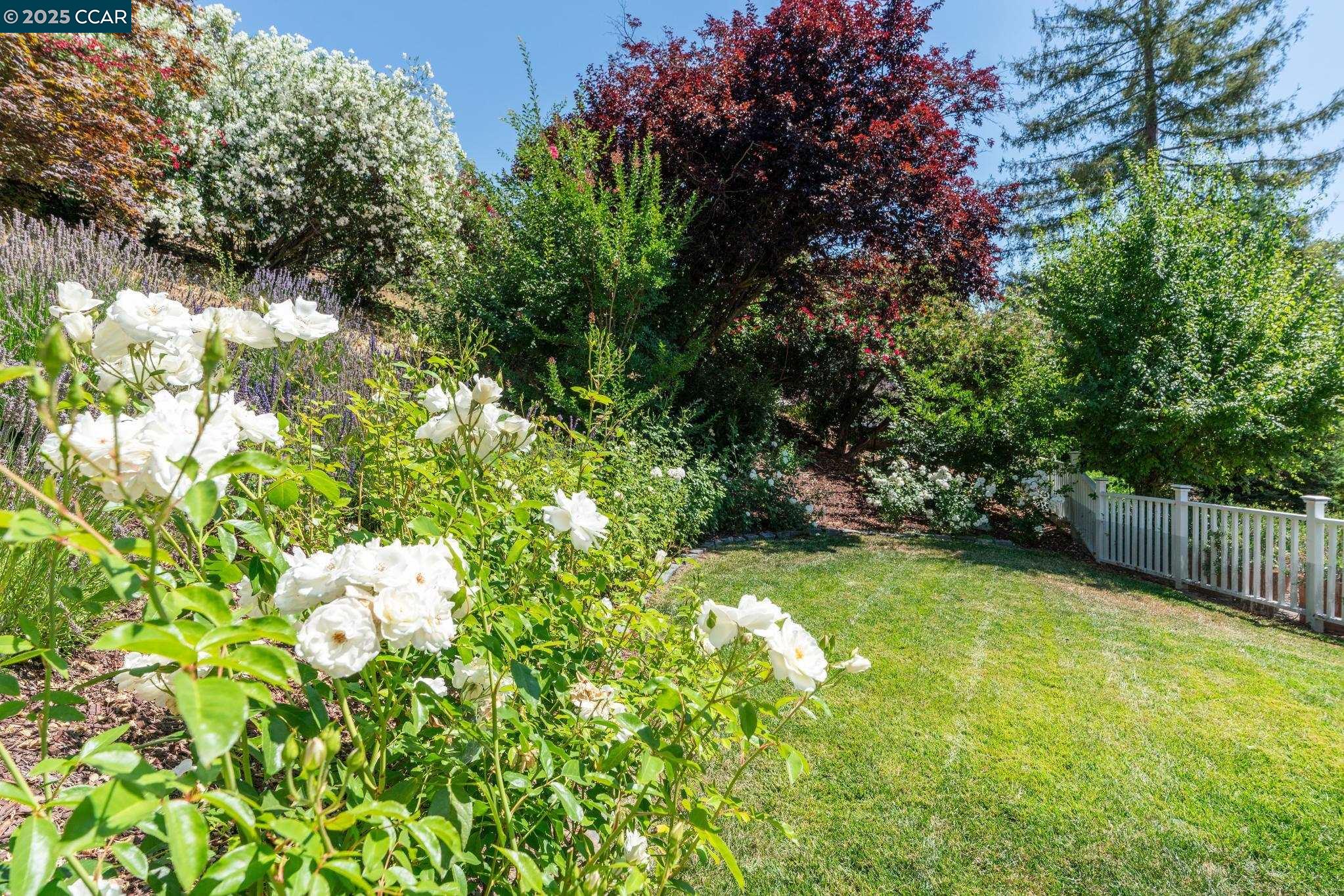 3555 Old Mountain View Dr