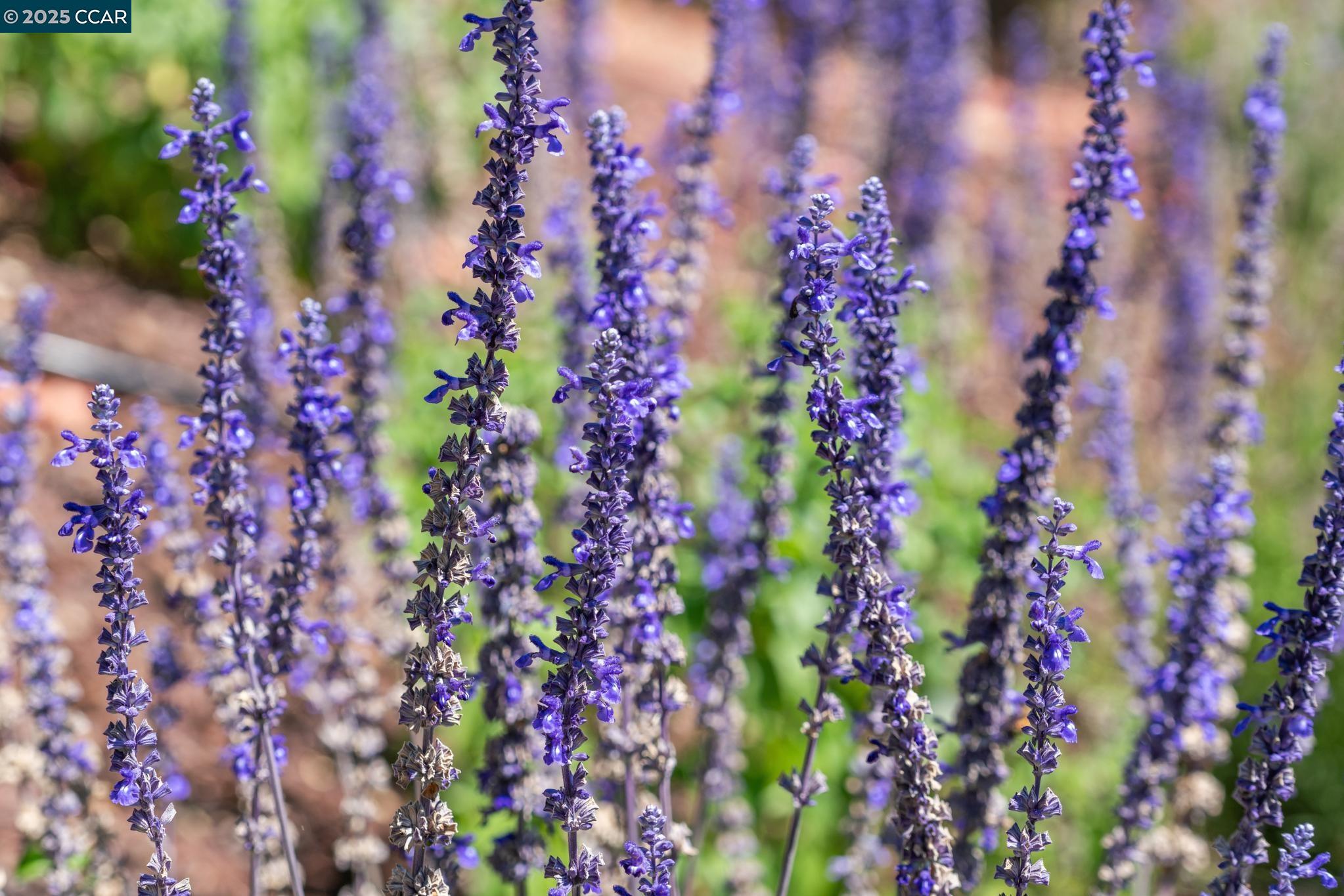 3555 Old Mountain View Dr