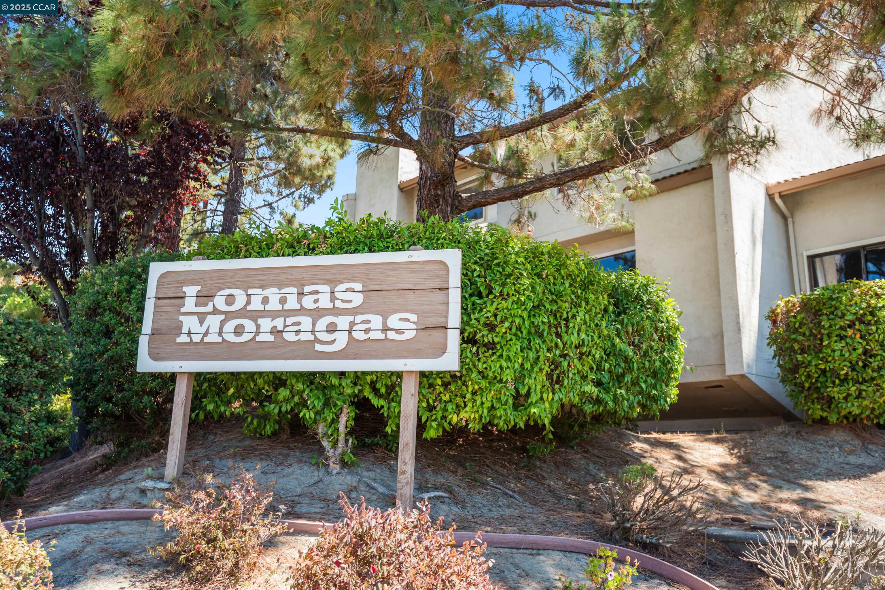 1541 Moraga way