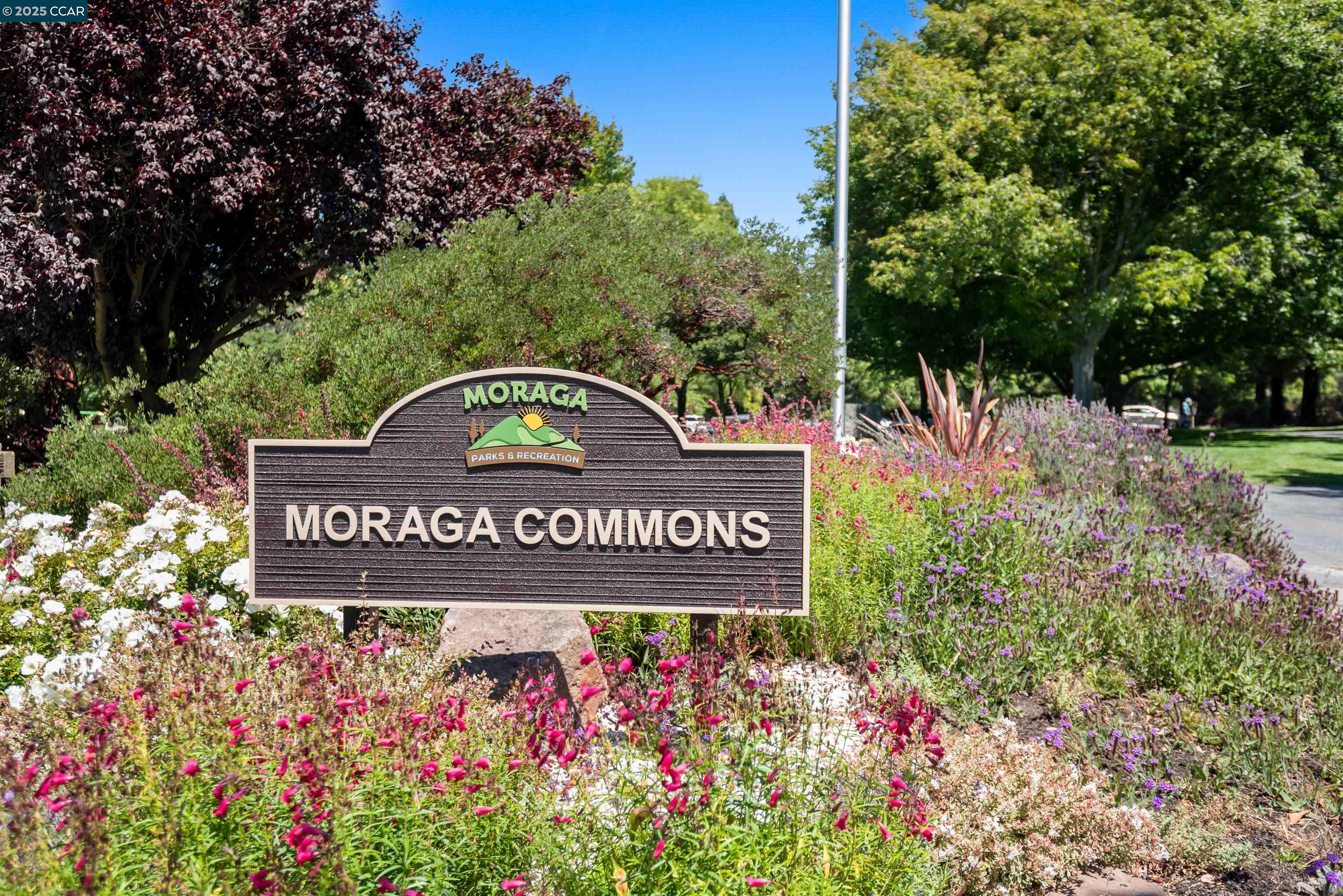 1541 Moraga way