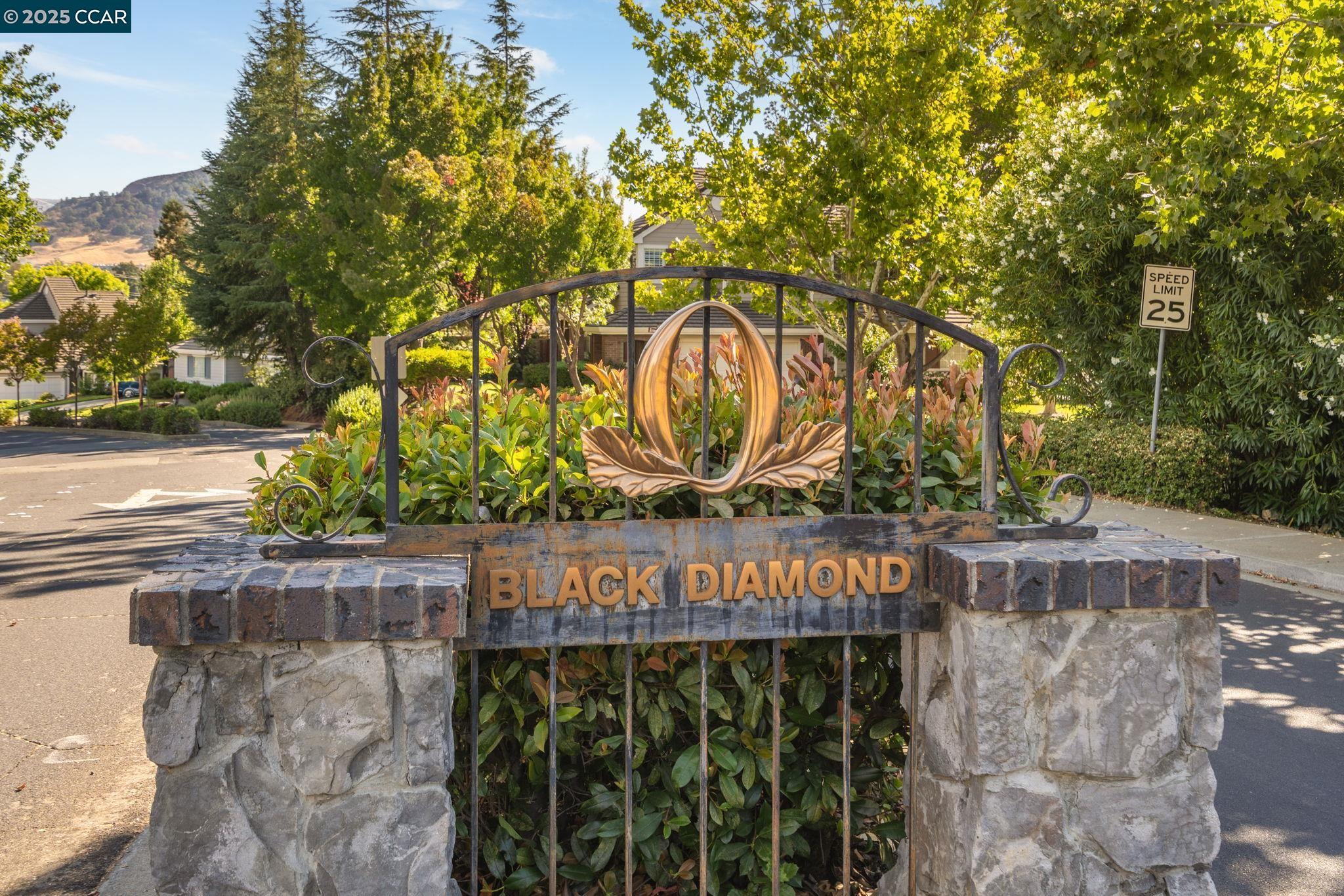 931 Arrowhead Ter