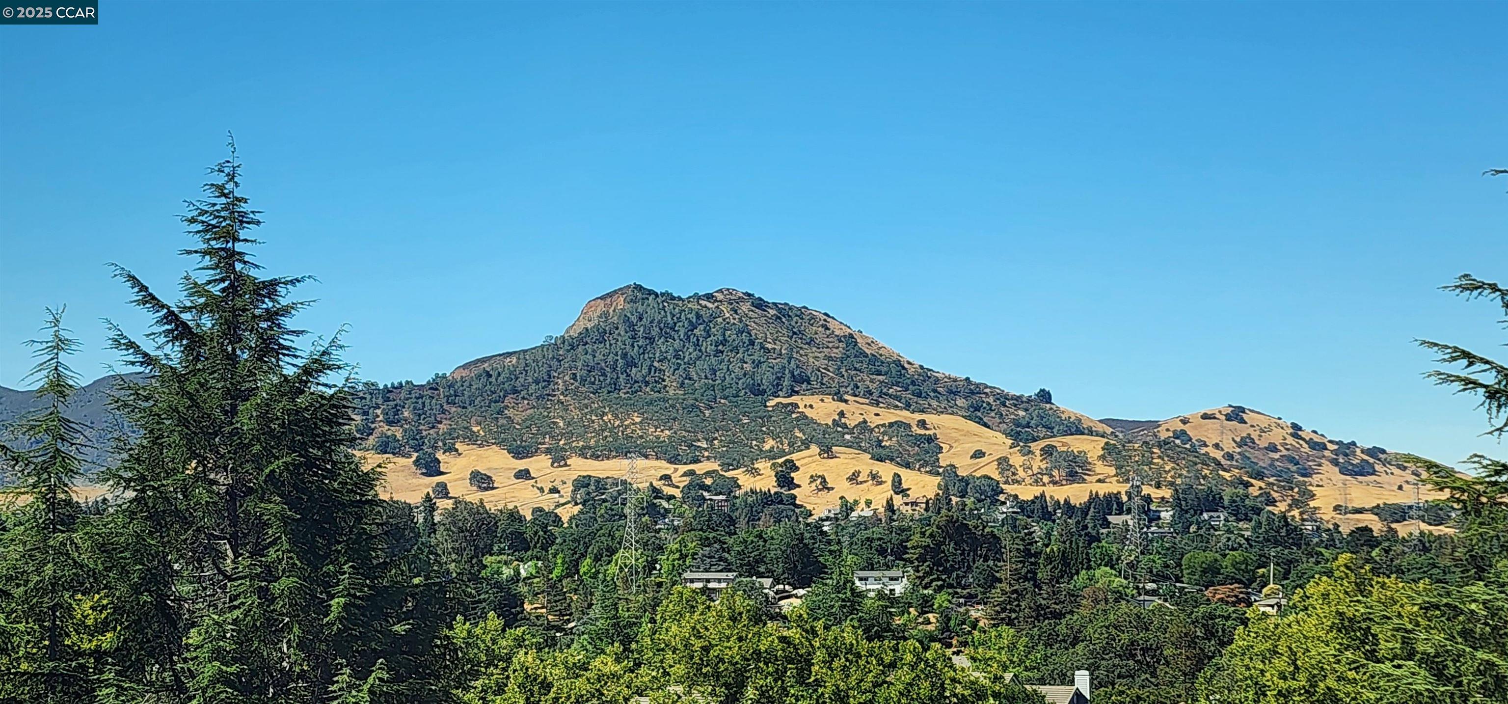 931 Arrowhead Ter