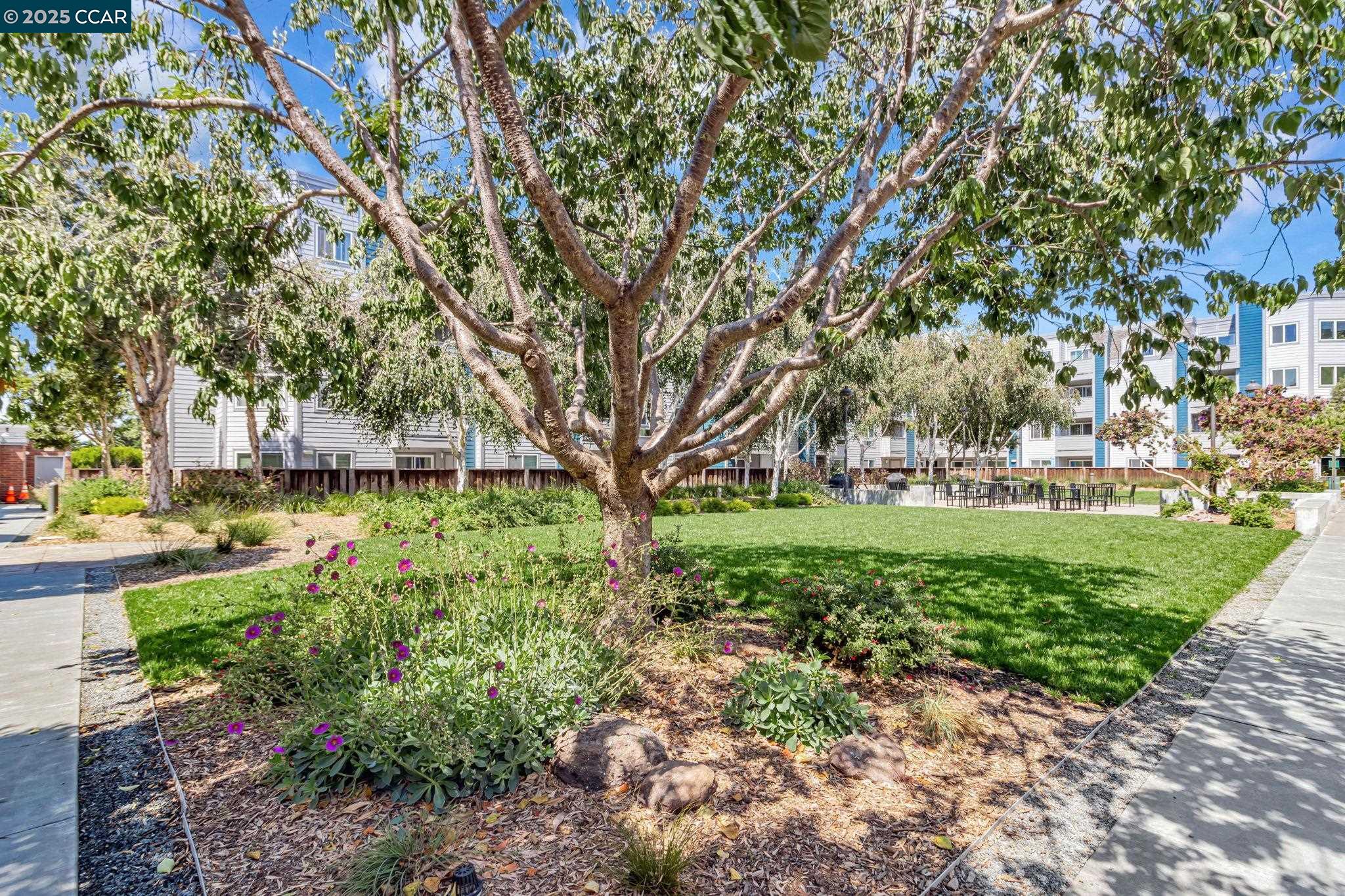 6400 Christie Ave # 4205