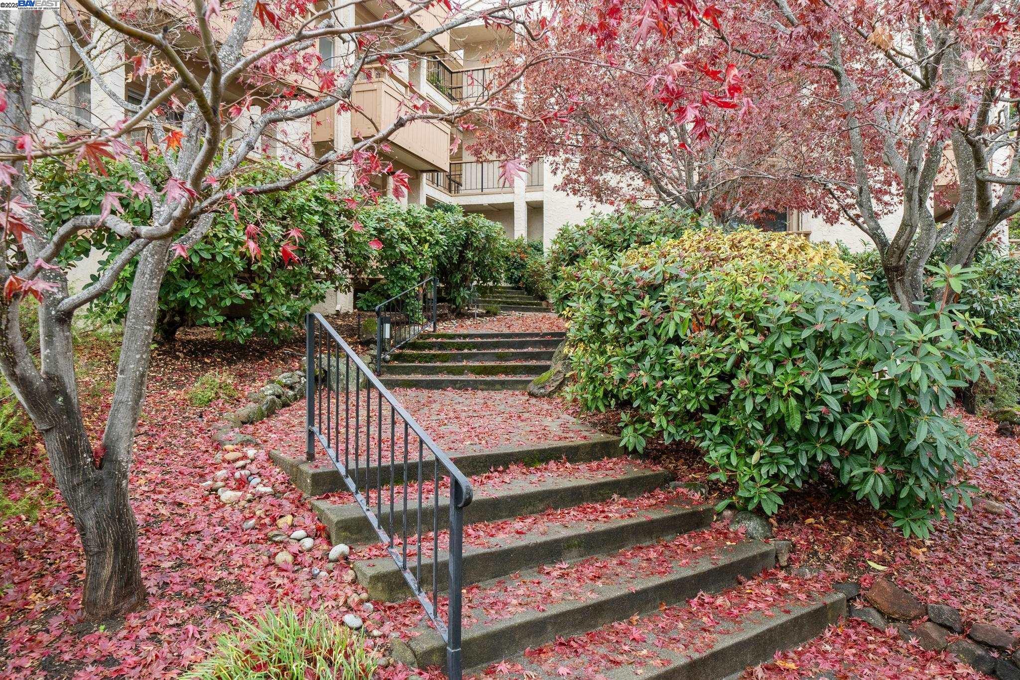 4033 Terra Granada Dr # 5C