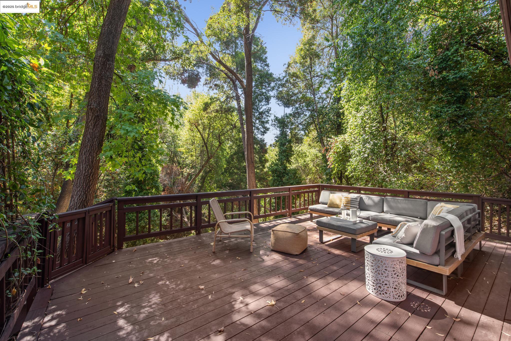 2429 Scout Rd