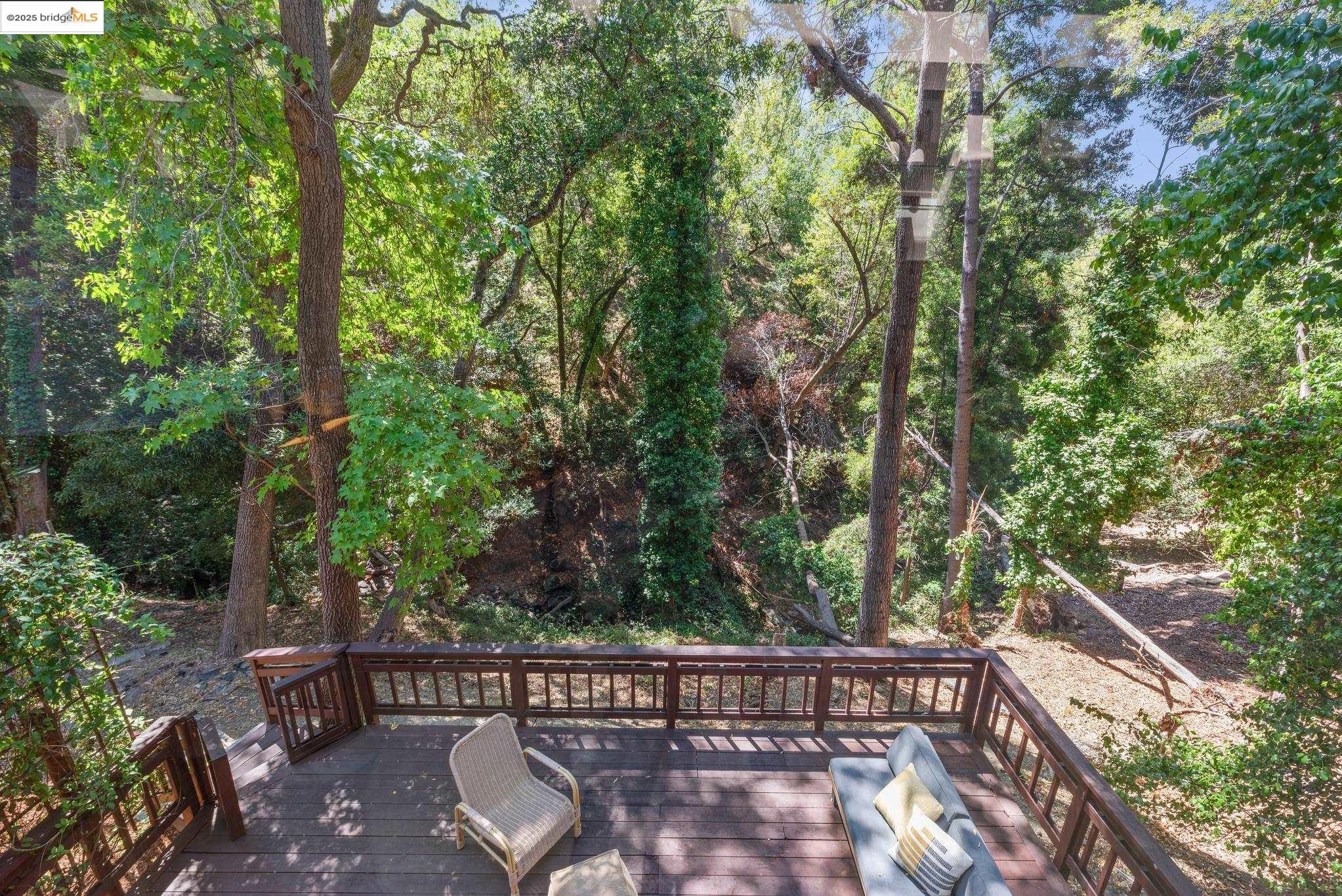2429 Scout Rd