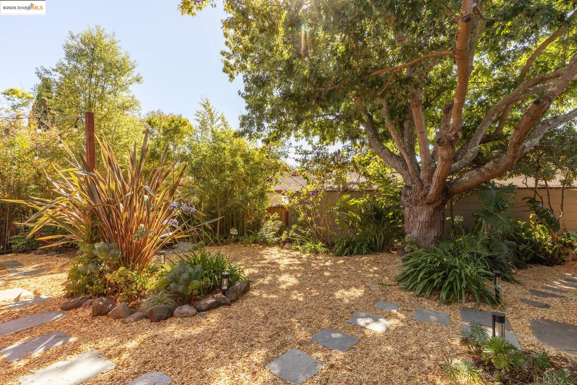 2204 Woolsey