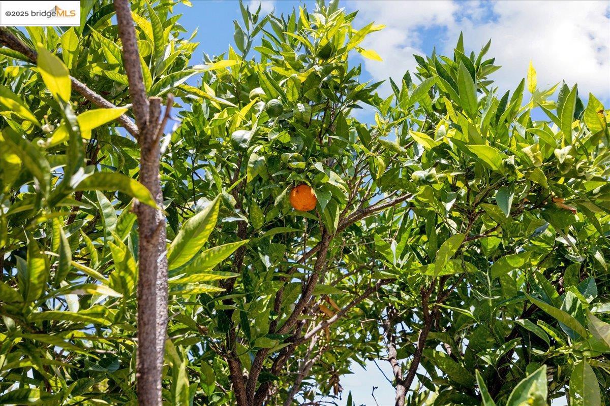 2839 Bartlett St, Oakland