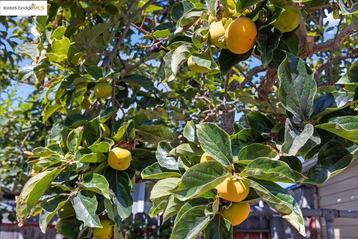 2839 Bartlett St, Oakland