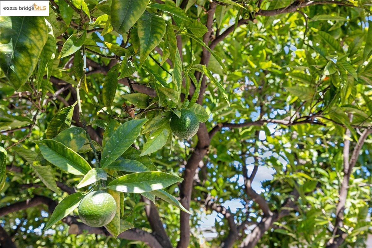 2839 Bartlett St, Oakland