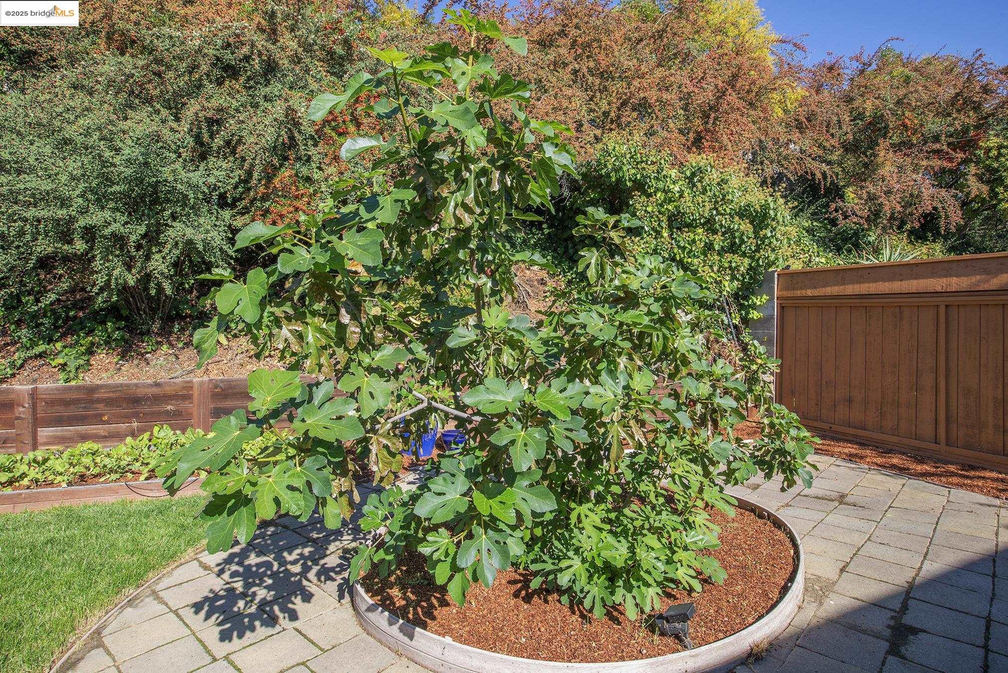 2850 Jennifer Dr, Castro Valley