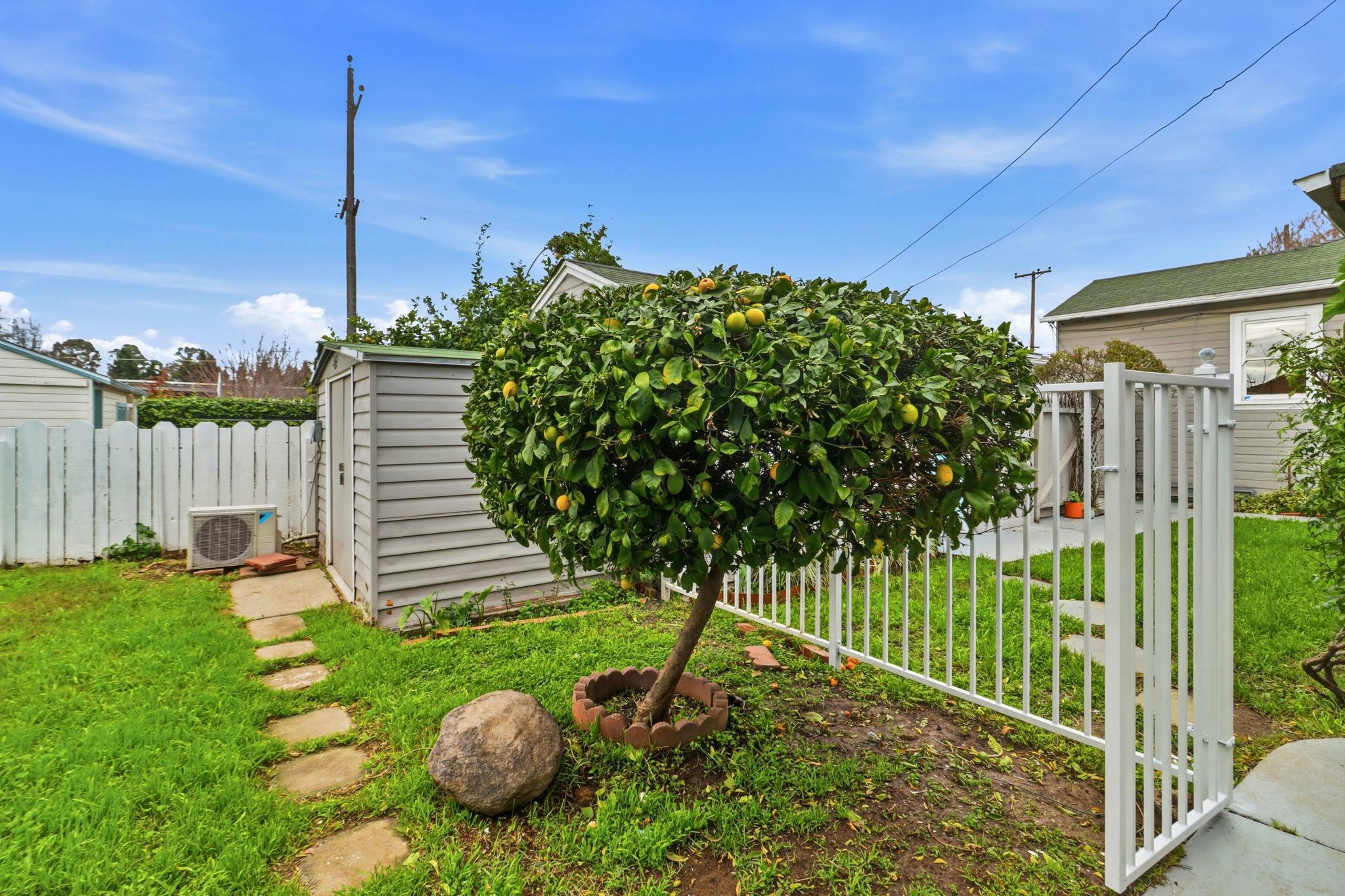 381 Cherrywood Ave