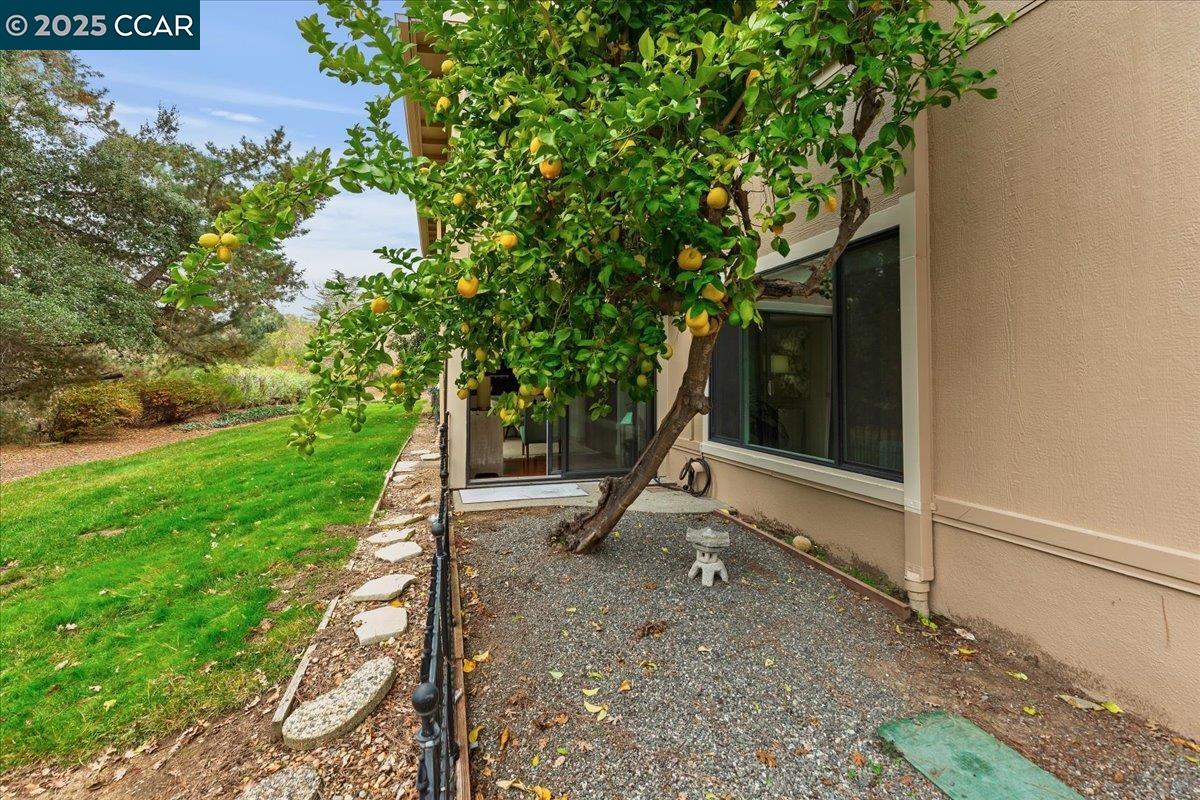 1857 Golden Rain Rd Unit 2