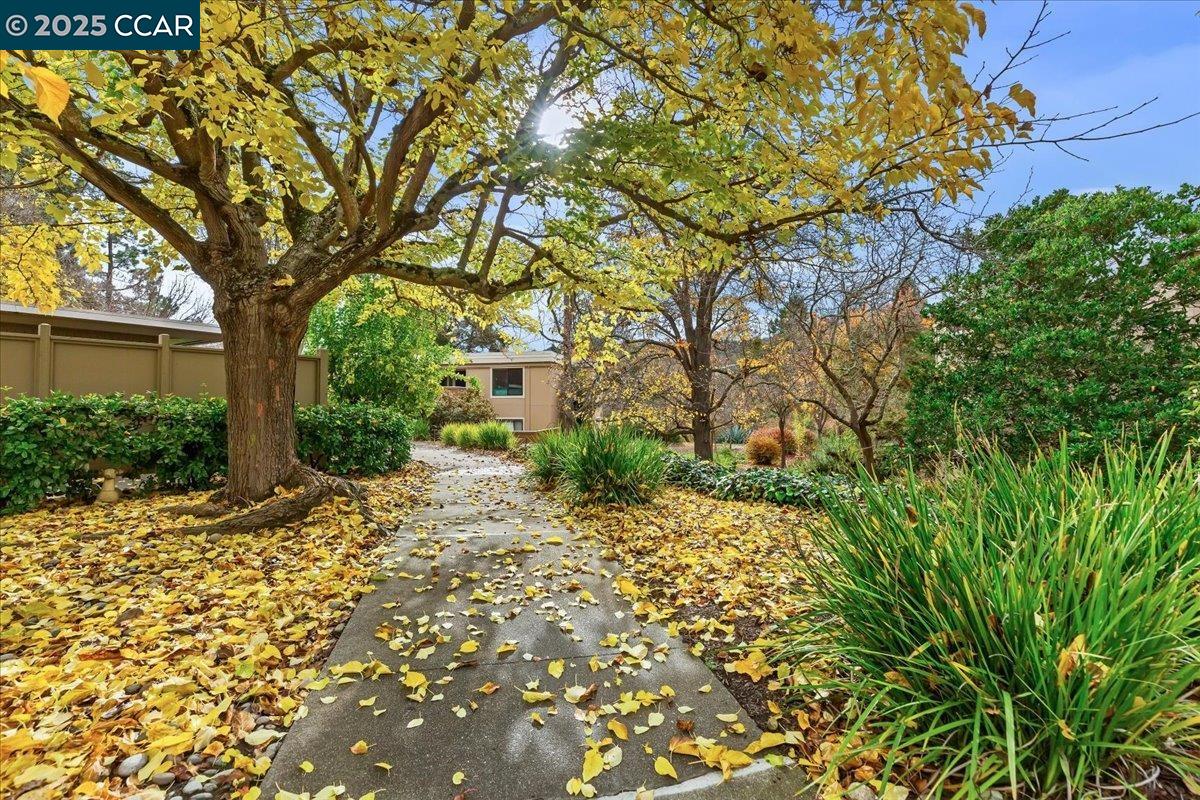 1857 Golden Rain Rd Unit 2