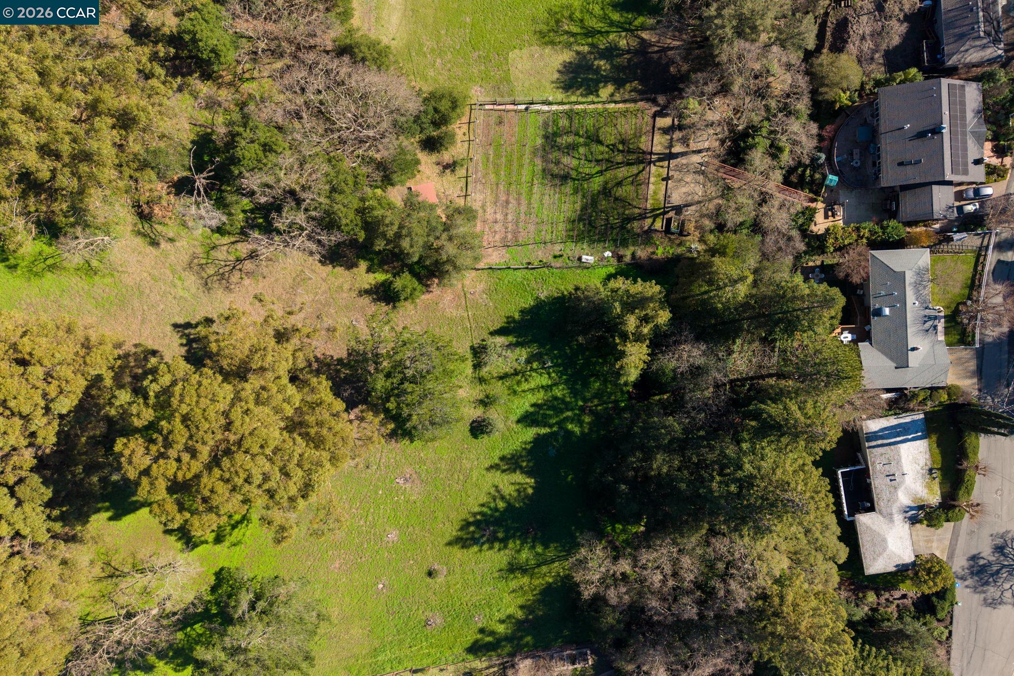 3326 Walnut Lane