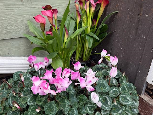 4706 San Pablo Dam Rd.