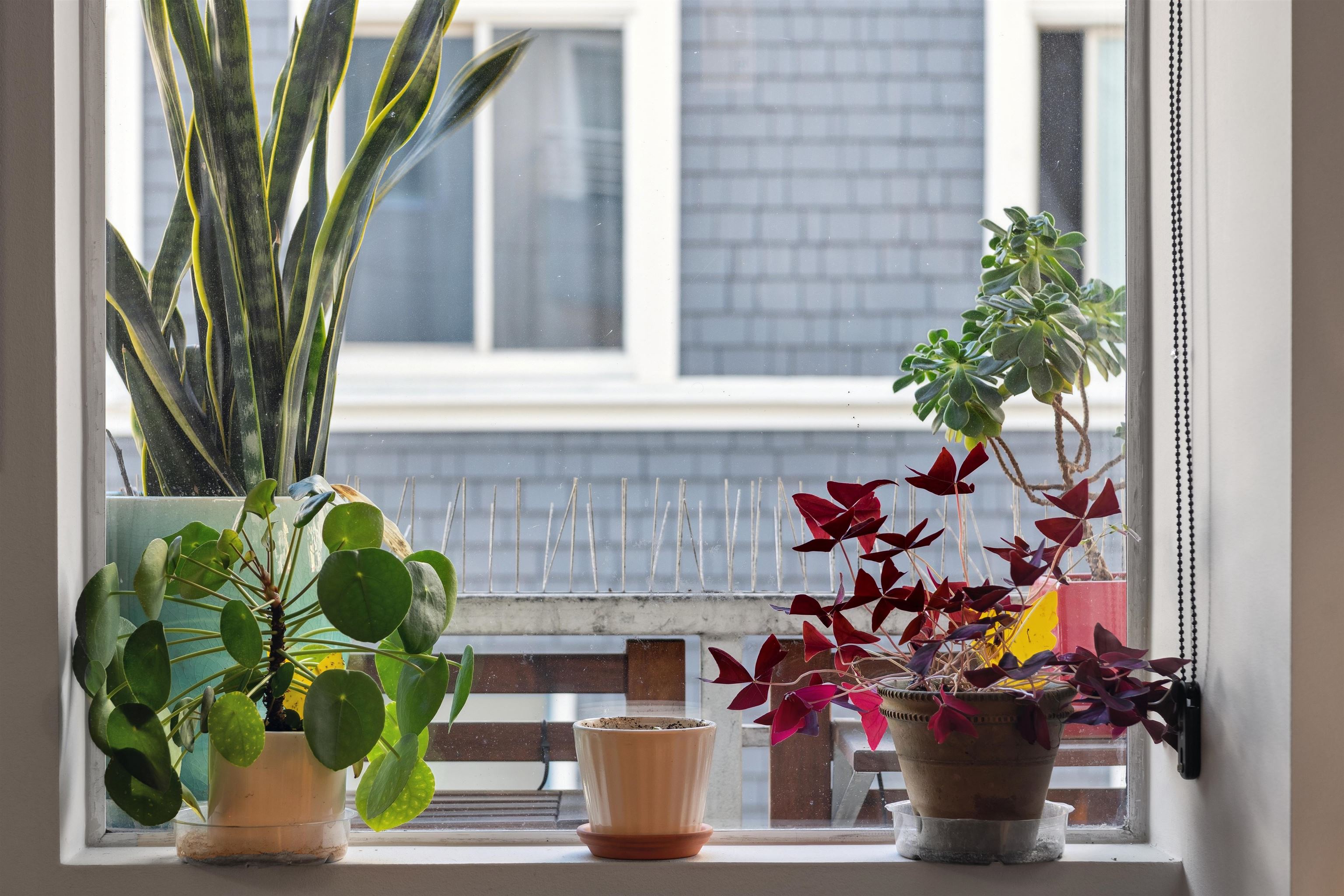 81 Frank Norris Place # 303