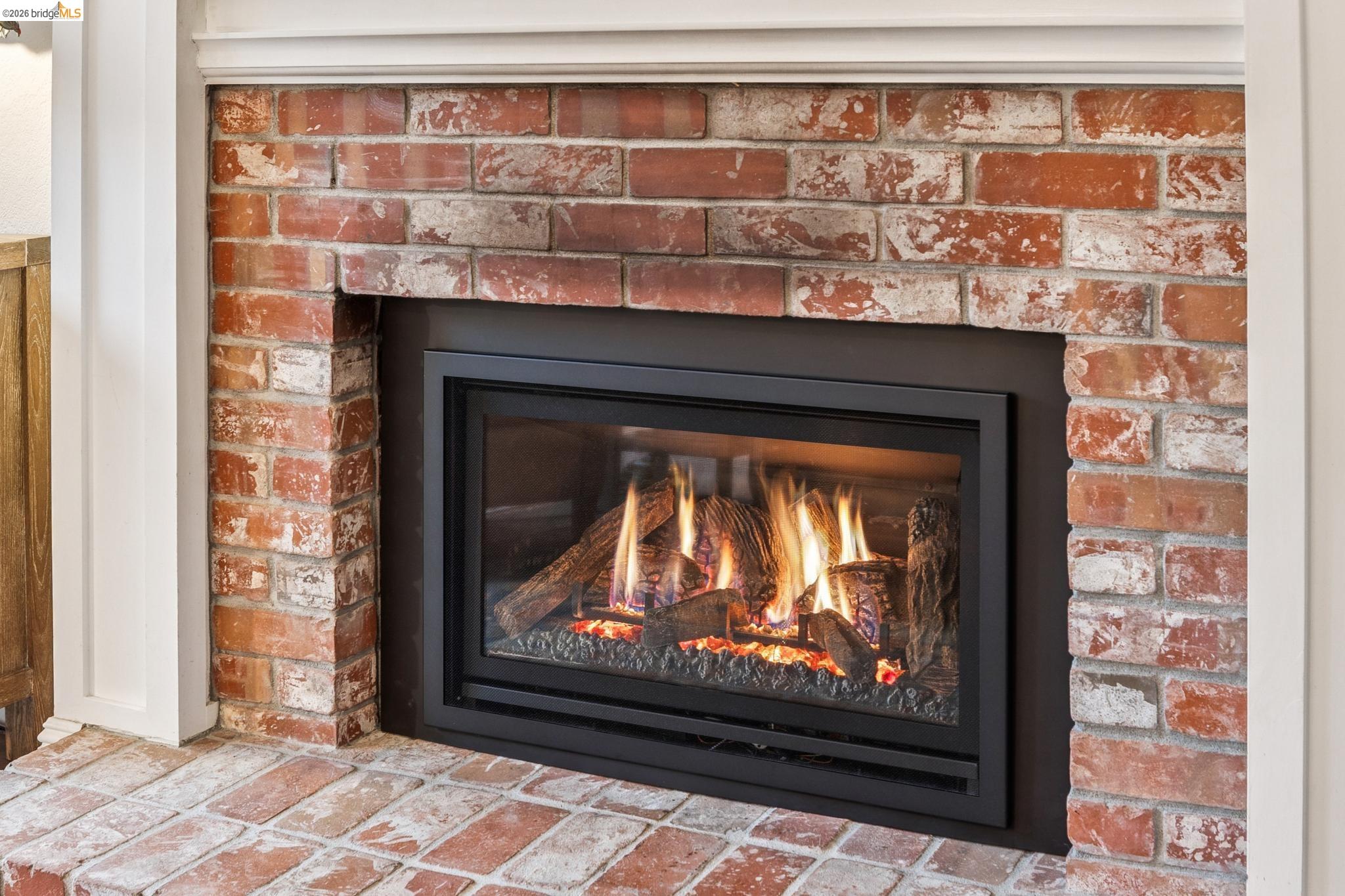 2090 Shady Creek Pl.