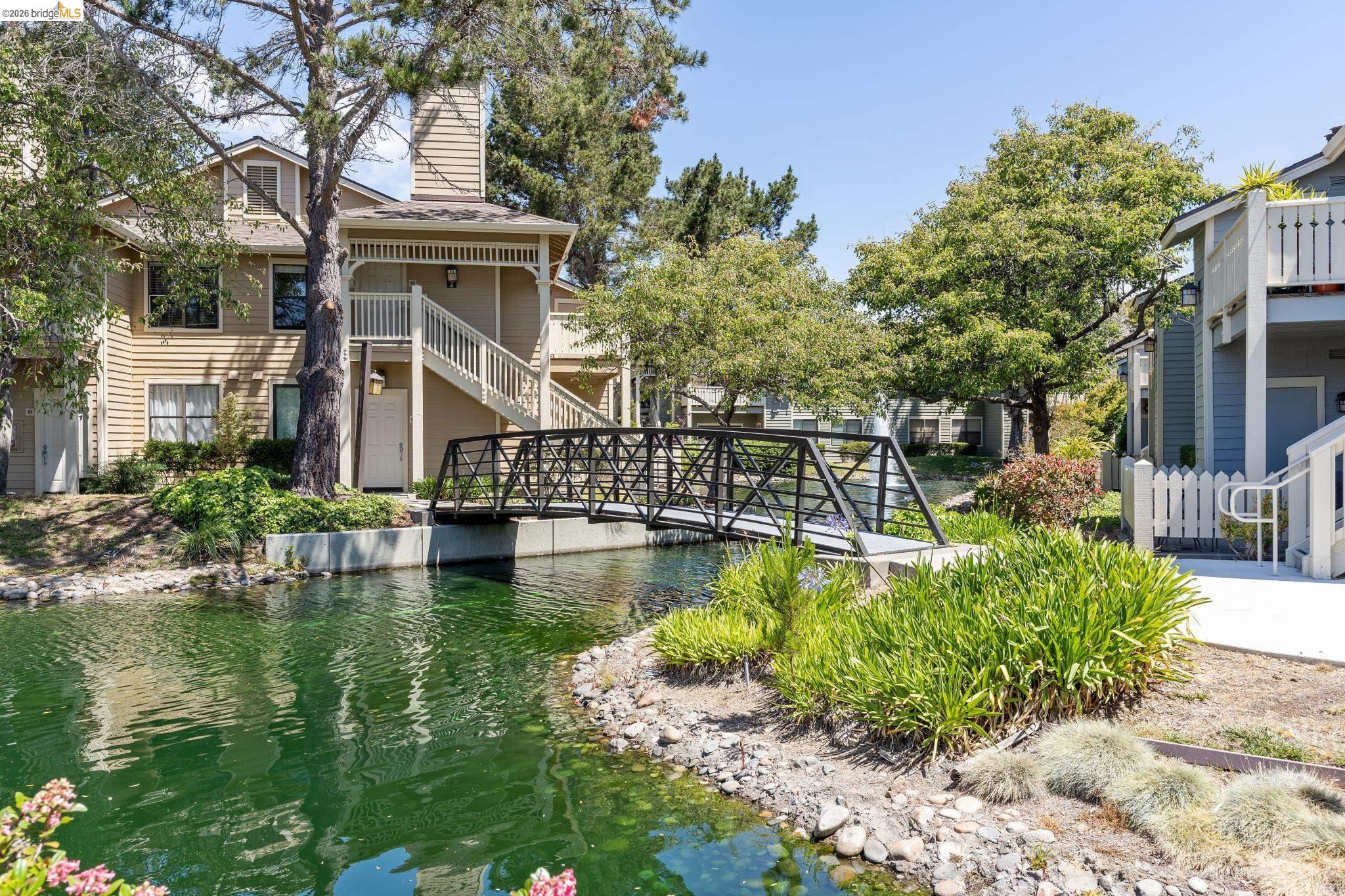 142 Shoreline Ct