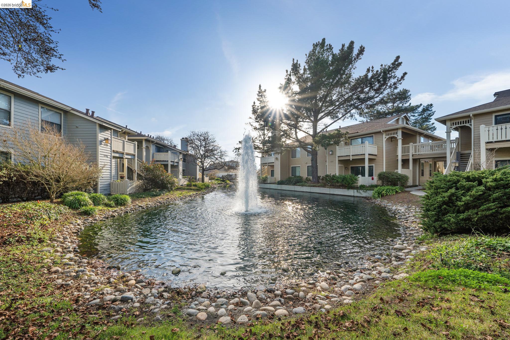 142 Shoreline Ct