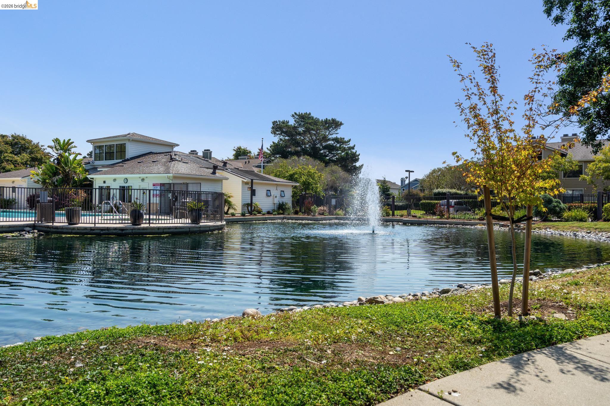 142 Shoreline Ct