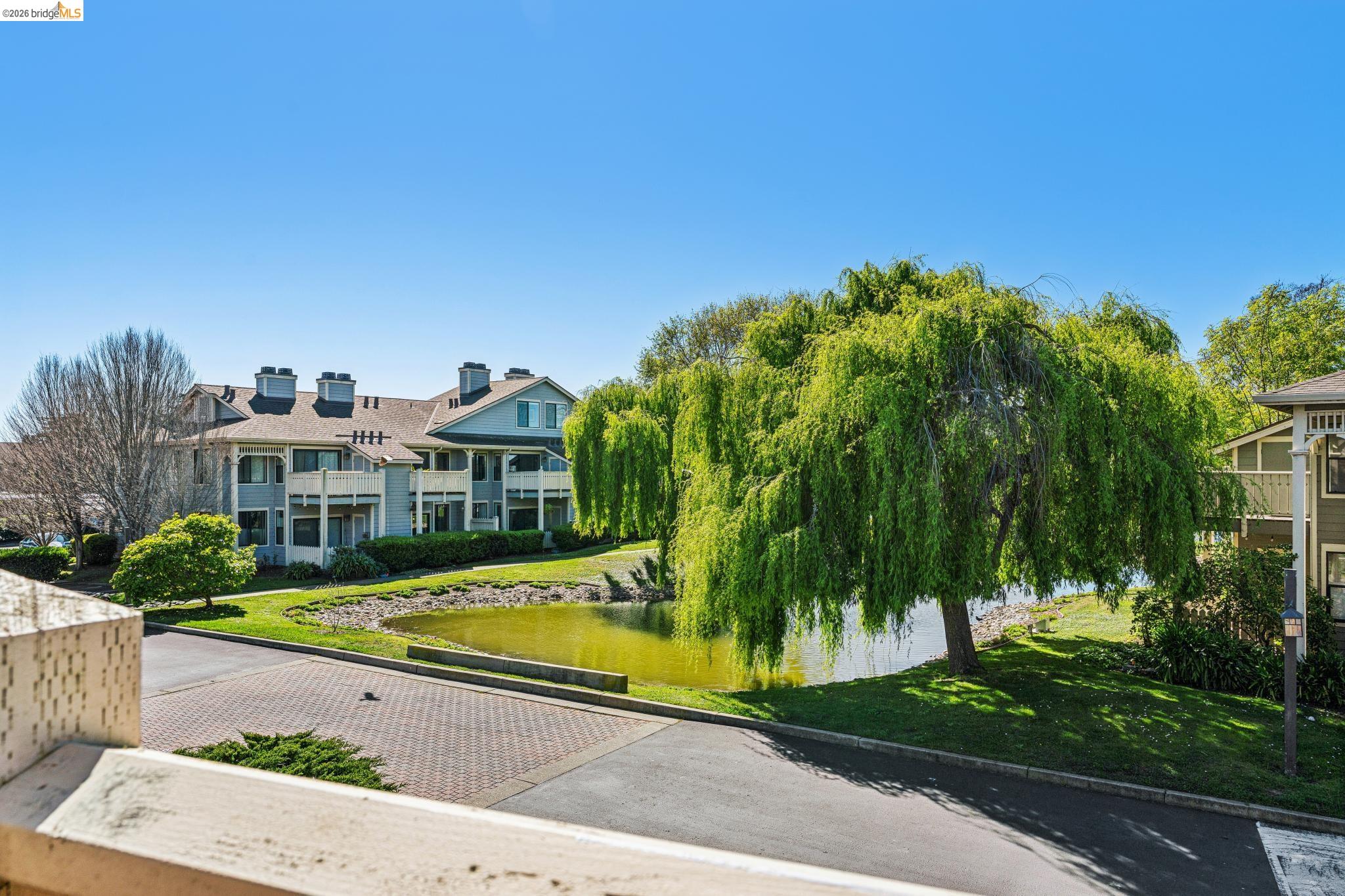 142 Shoreline Ct