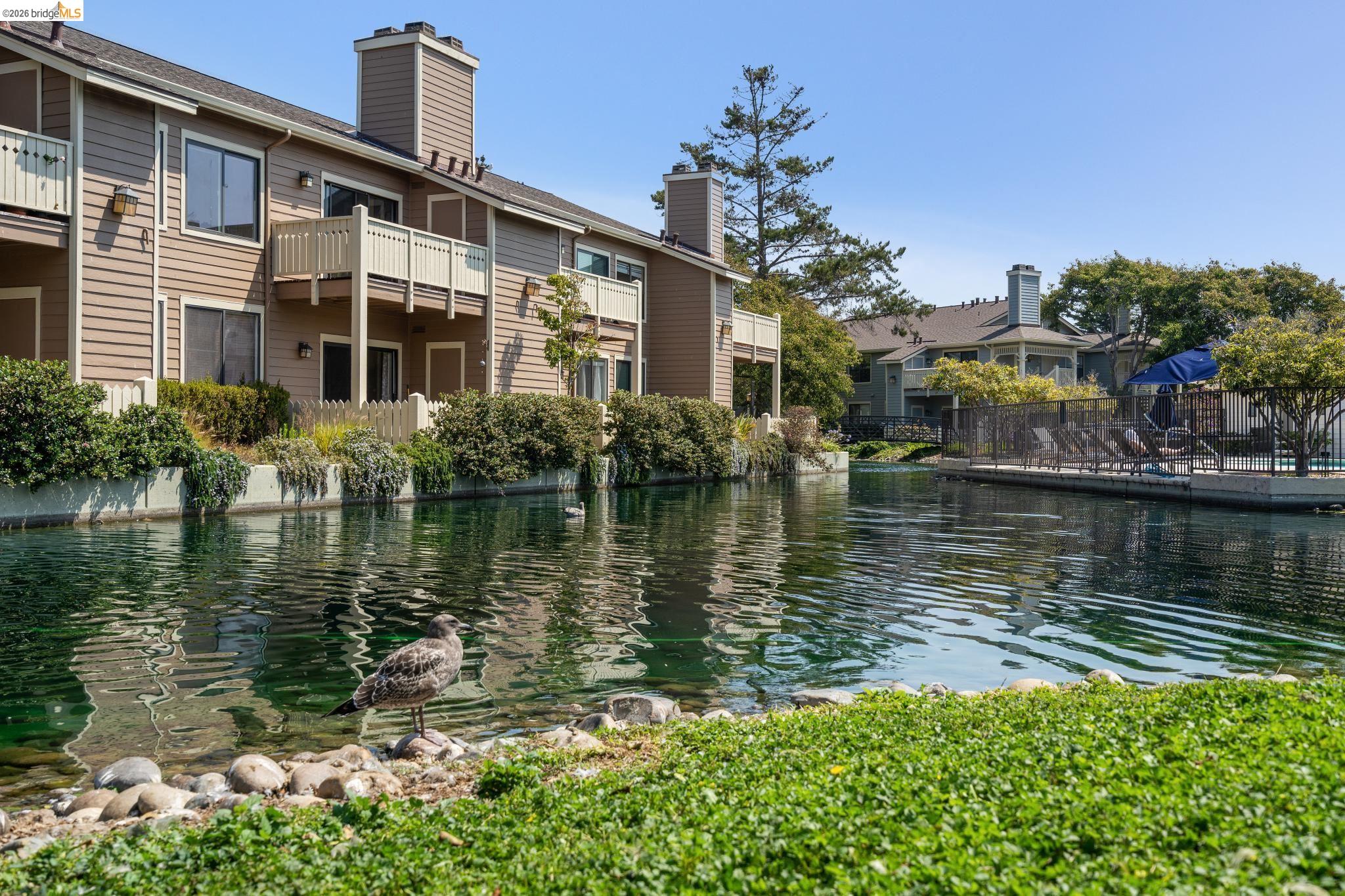 142 Shoreline Ct