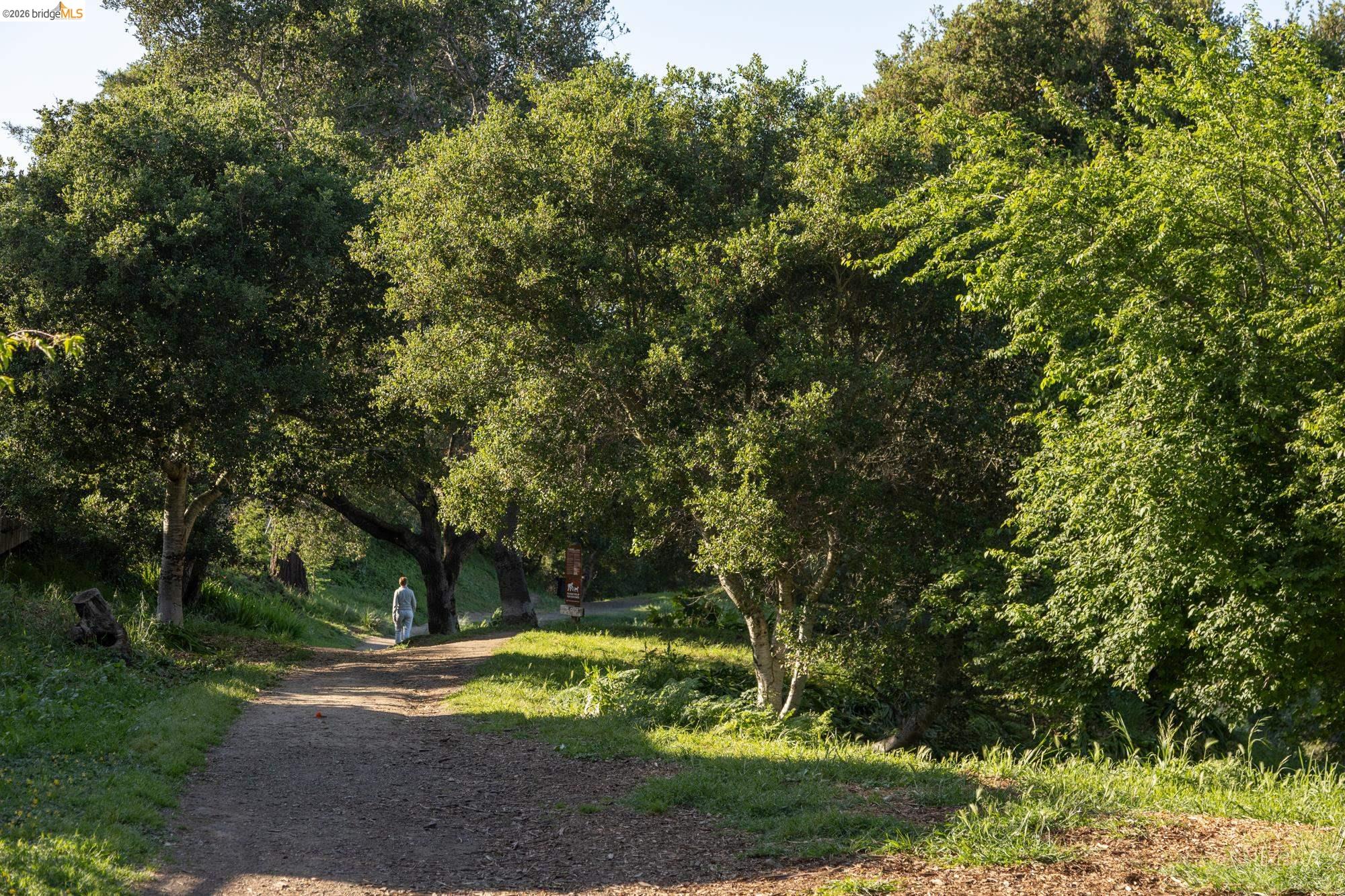 260 Grizzly Peak Blvd