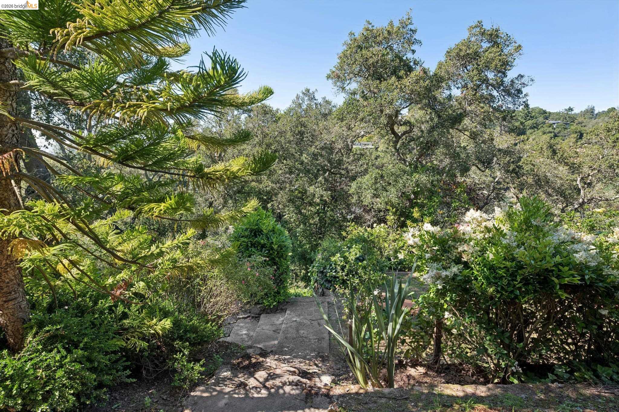 453 Scenic Ave