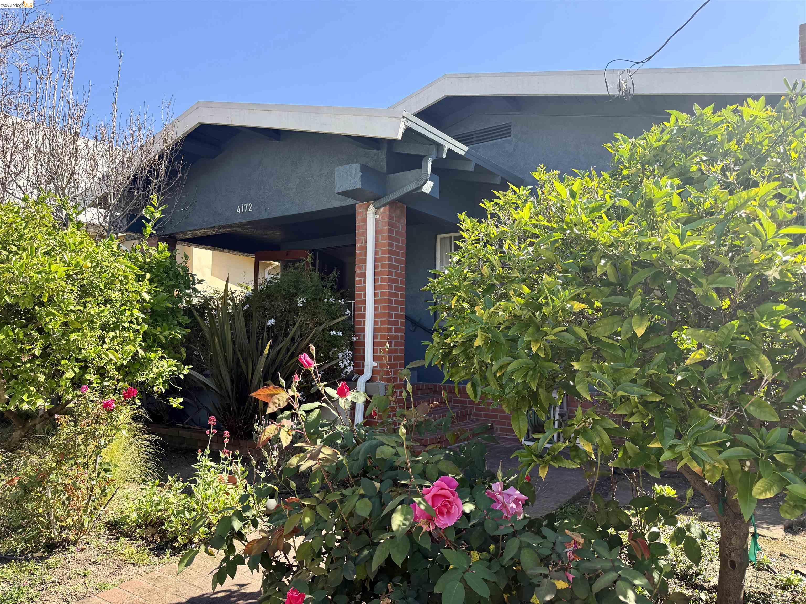 4172 Opal Street