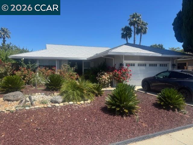 Single-story home with an attached garage, landscaped front yard, and a dark car in the driveway.