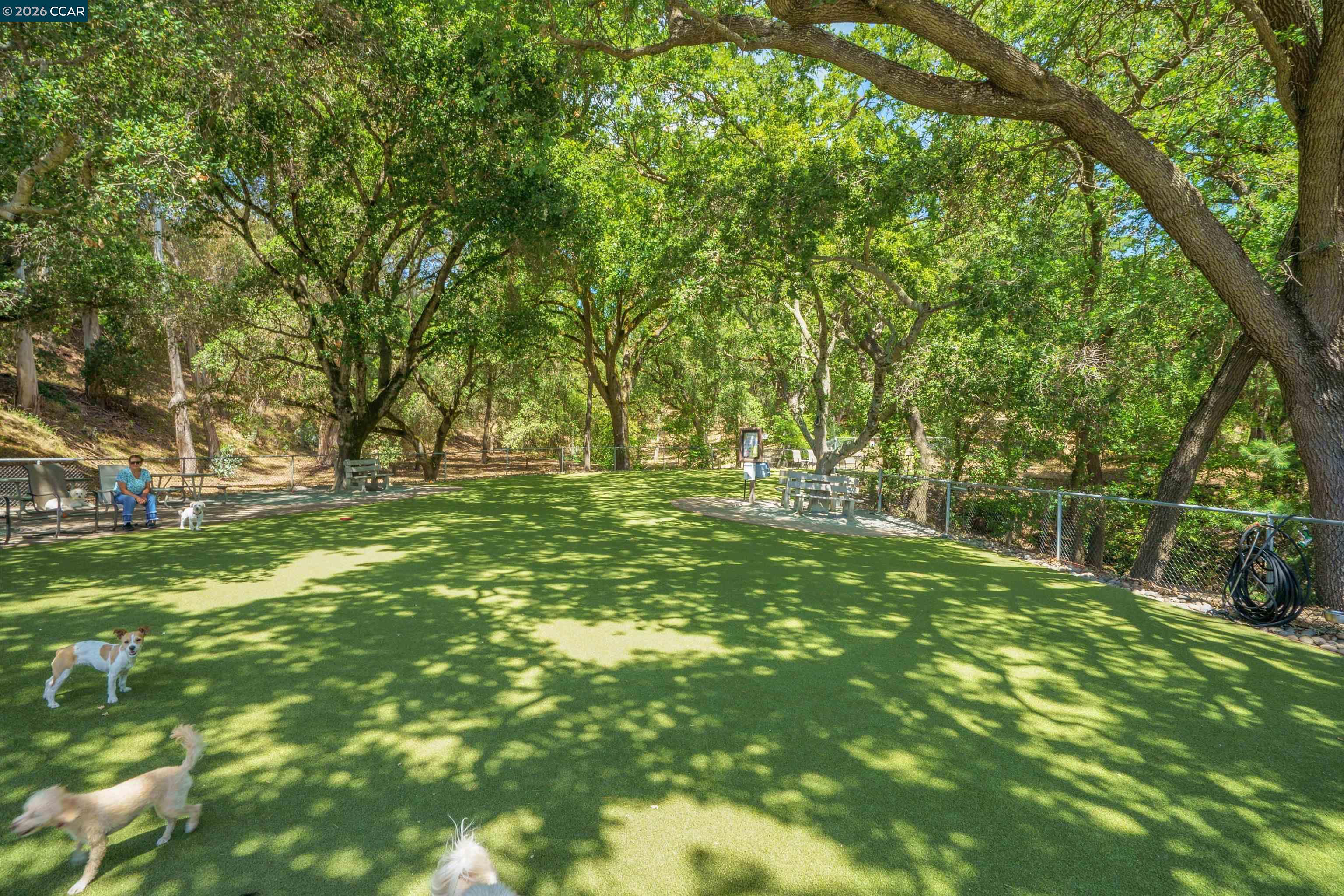 1549 Oakmont # 3