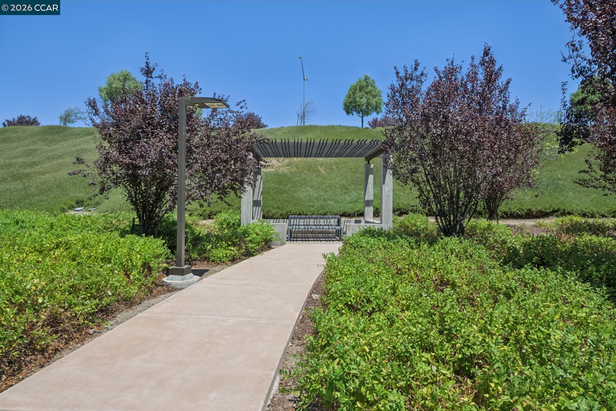 418 Persimmon Cmn # 2