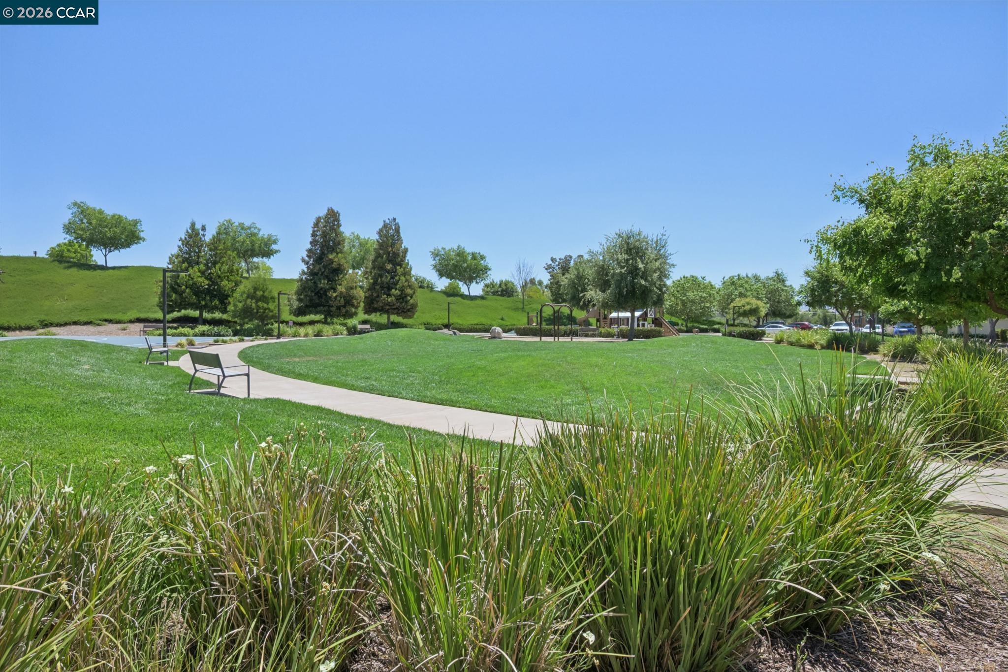 418 Persimmon Cmn # 2