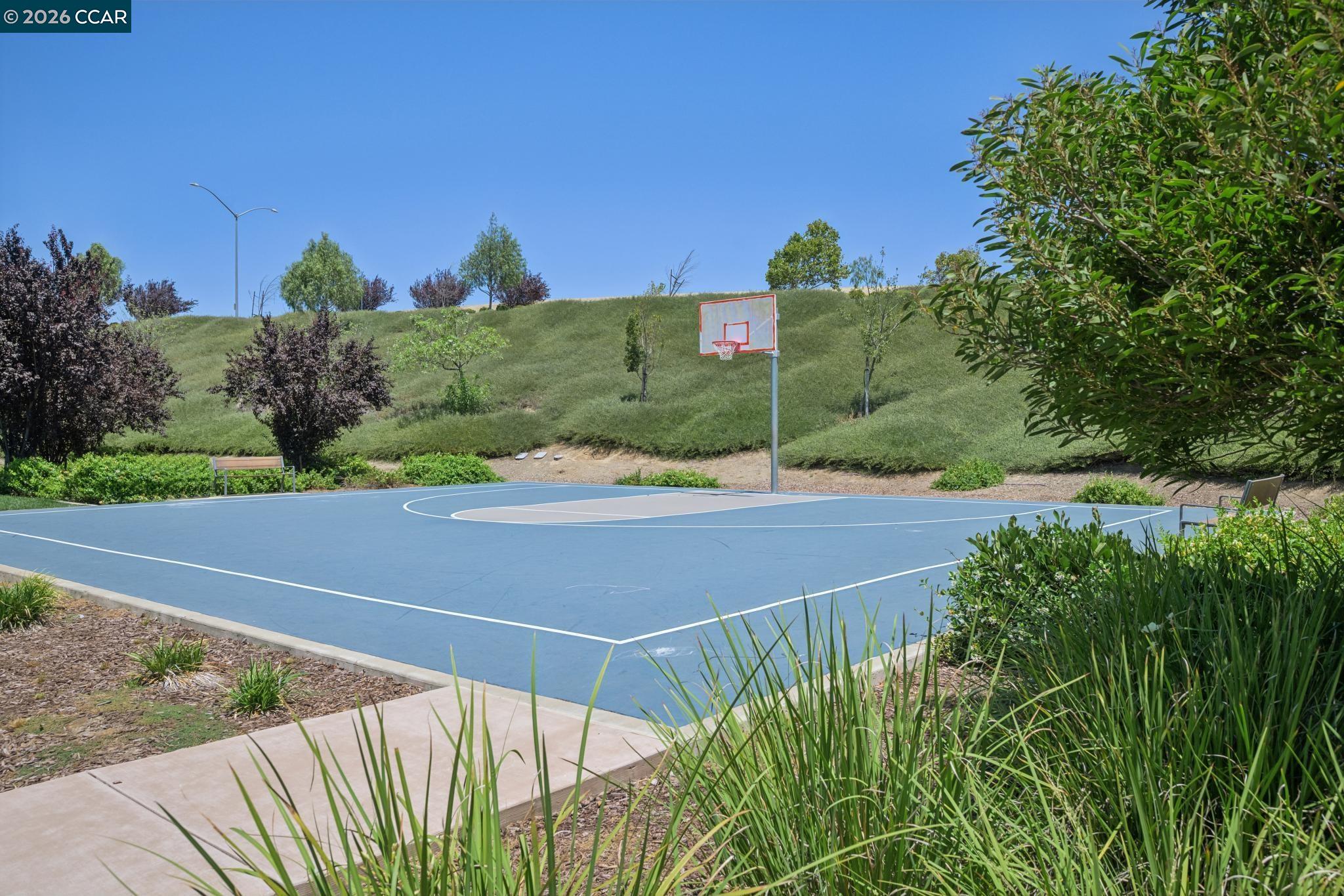 418 Persimmon Cmn # 2