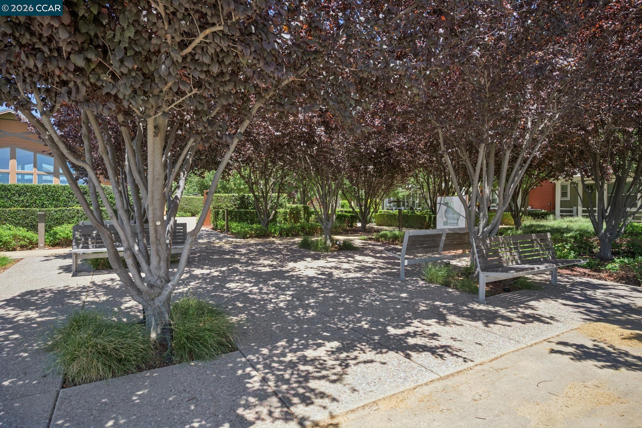 418 Persimmon Cmn # 2