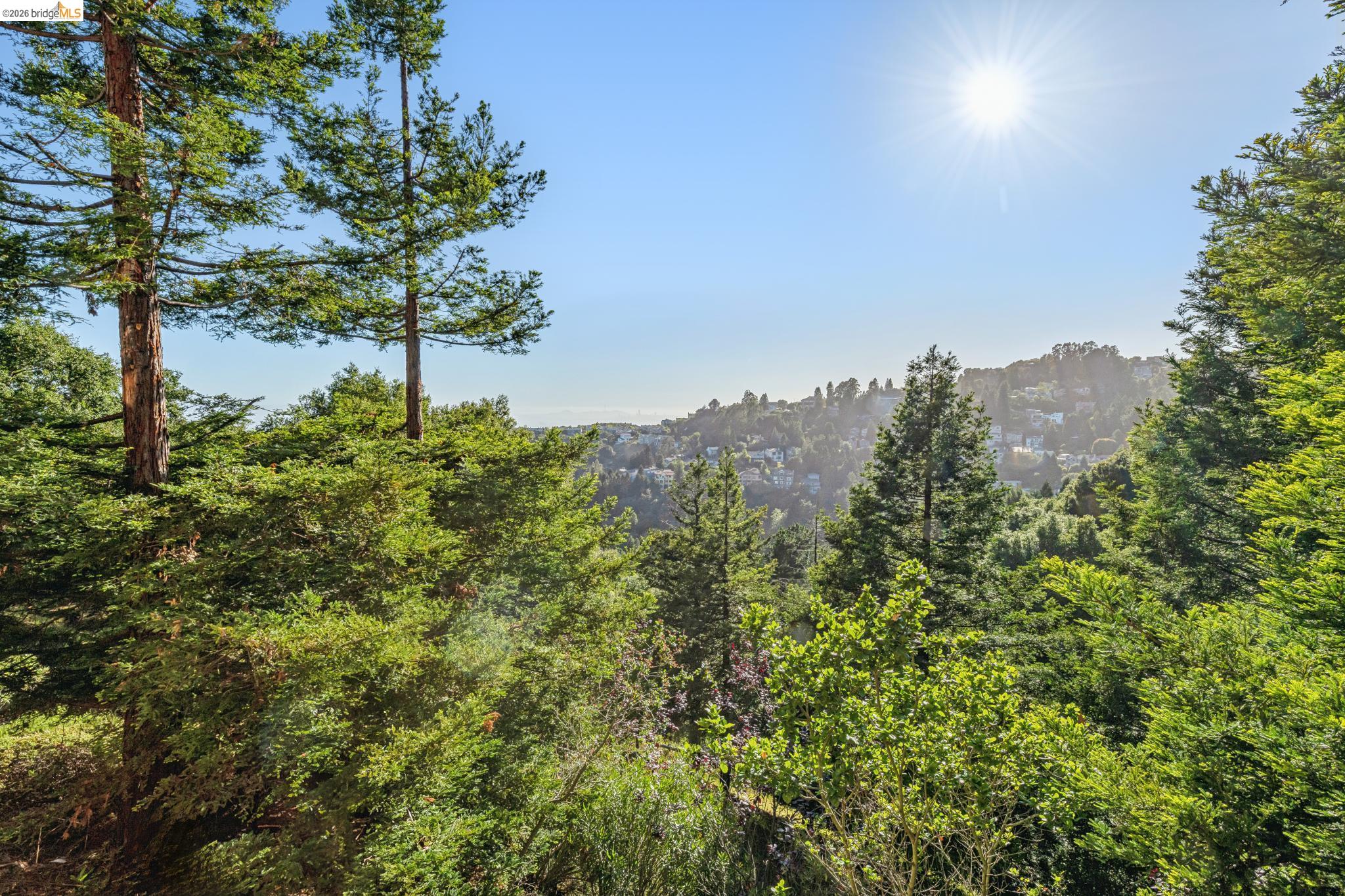 35 Bay Forest Ct