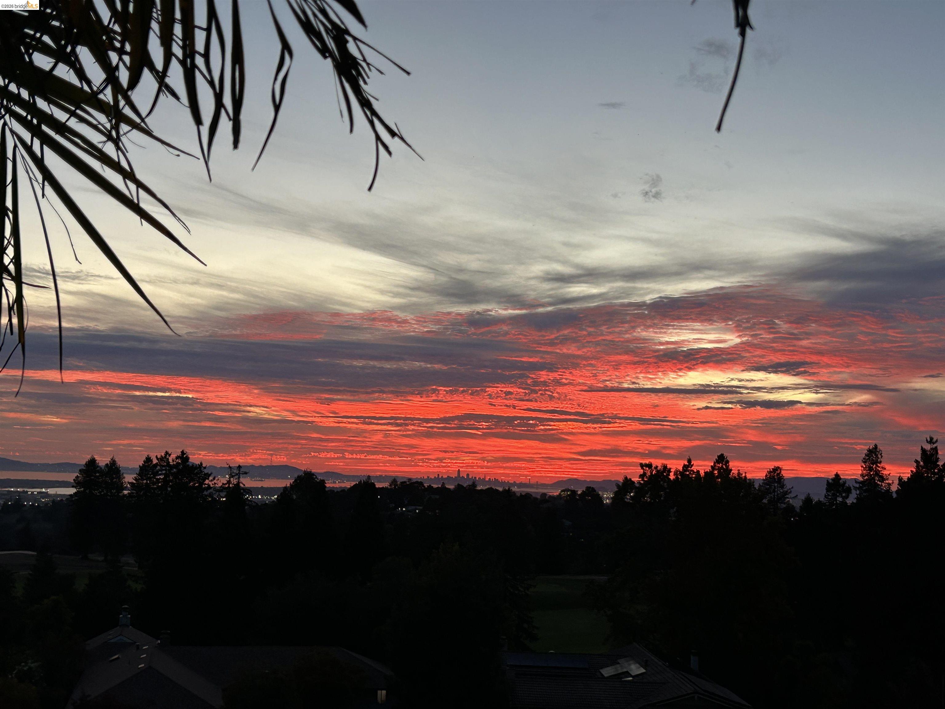 Red-orange sunset over treetops, rooftops, and a distant city skyline.