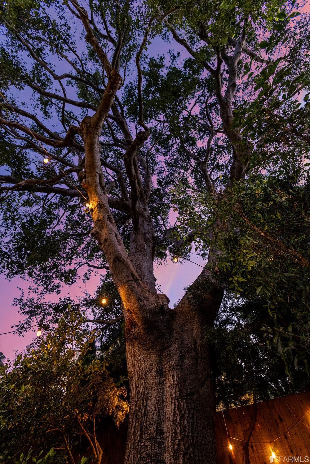 3284 Harrison Street