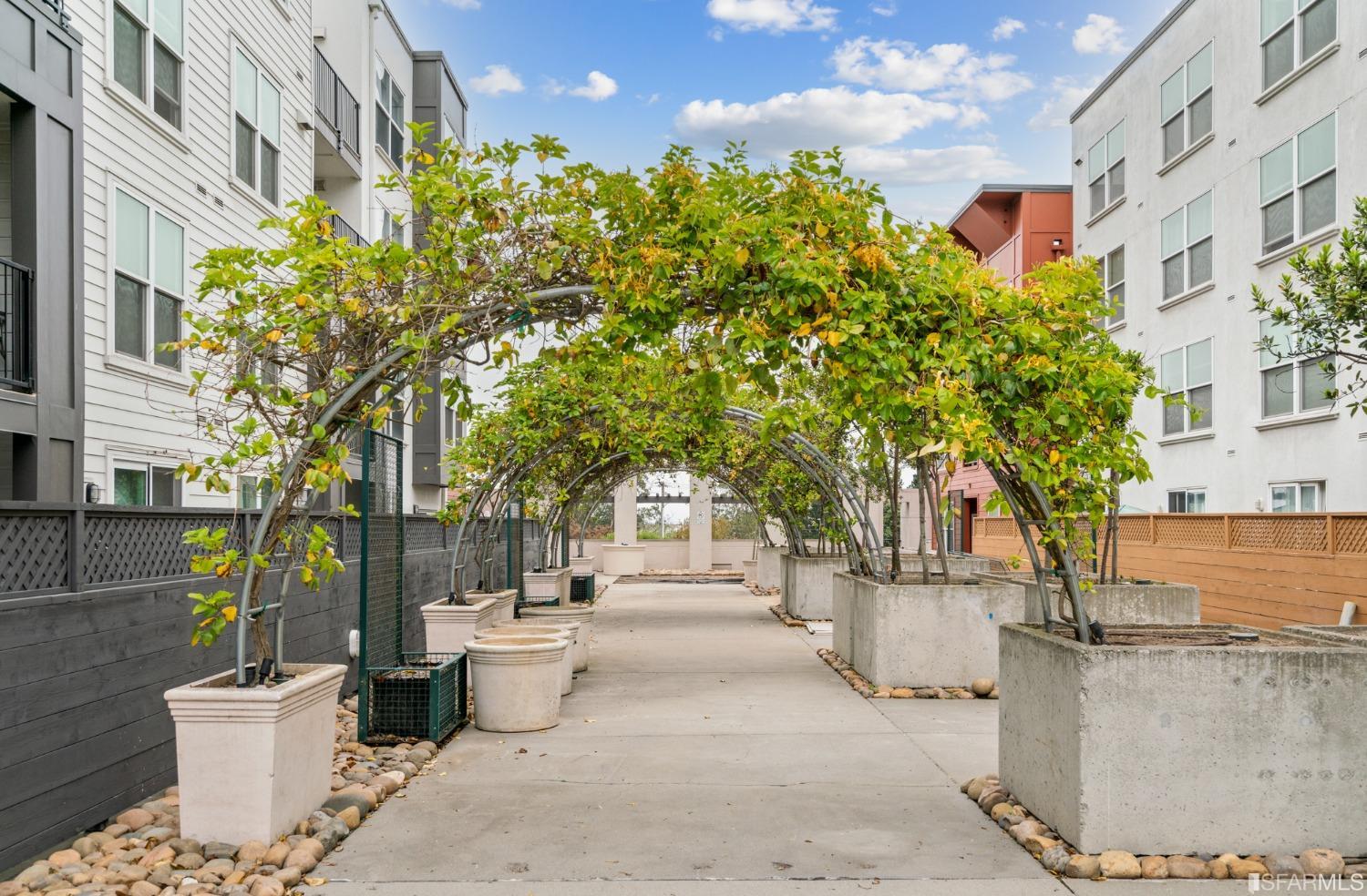 8100 Oceanview Terrace Unit: 204