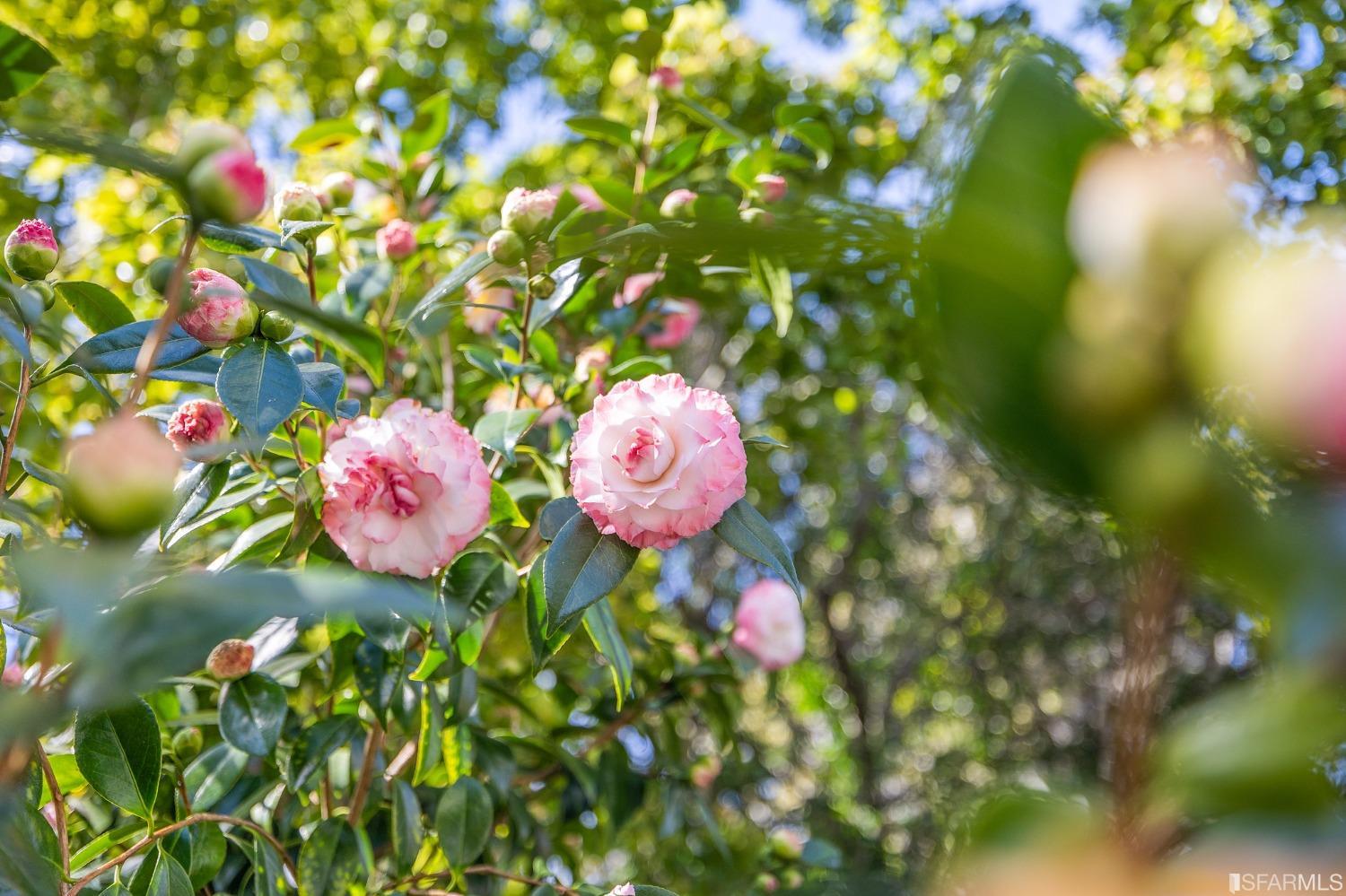 4150 17th Street Unit: 14