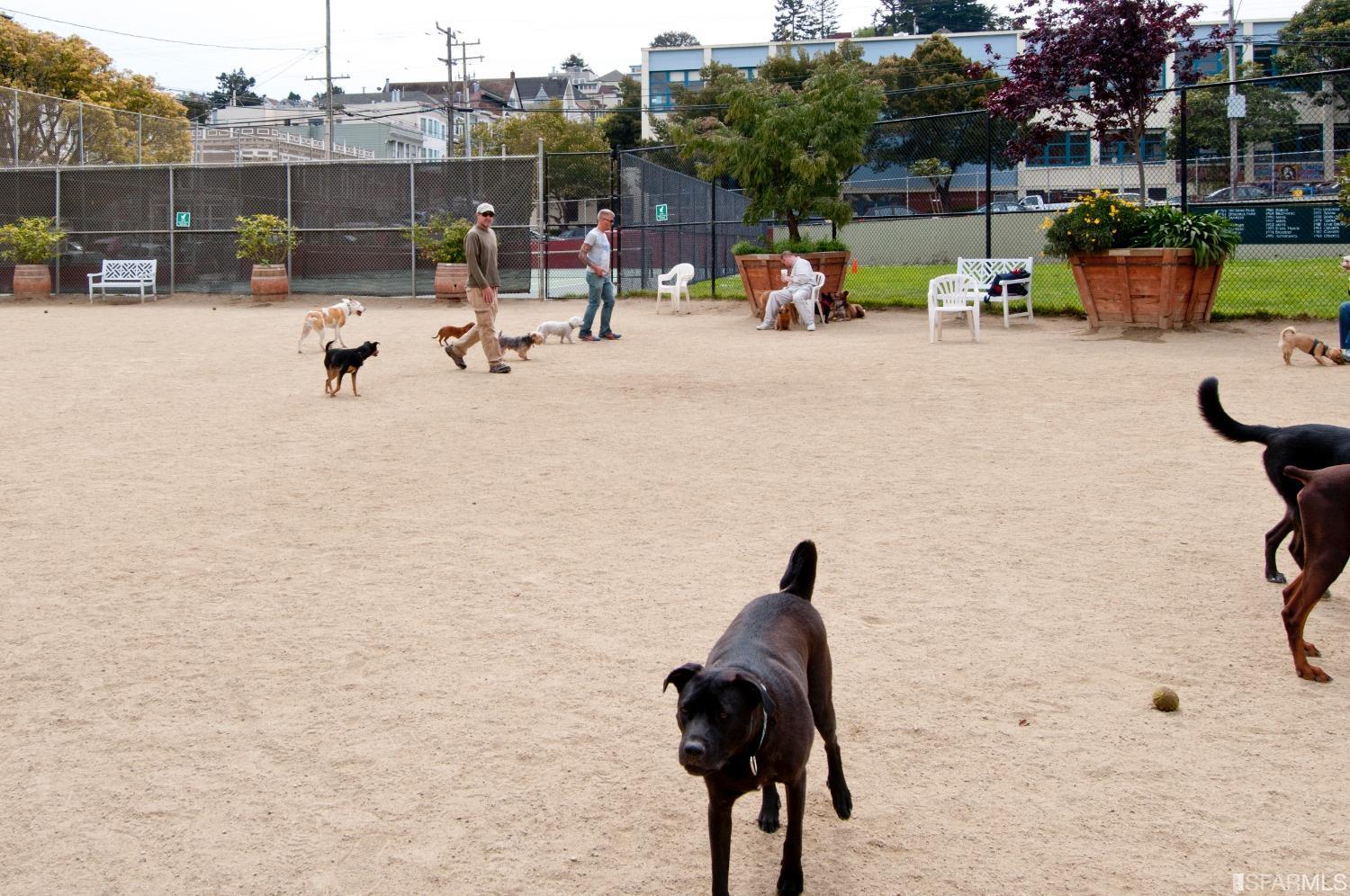 4096 17th Street Unit: 310