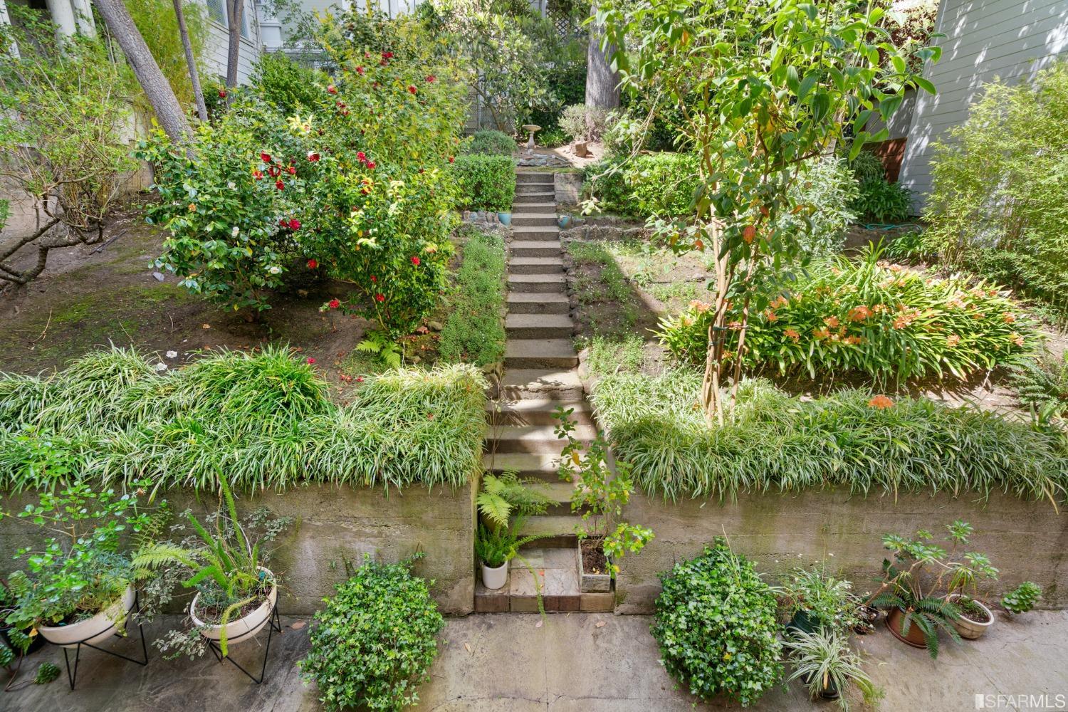 2990 Jackson Street Unit: 4