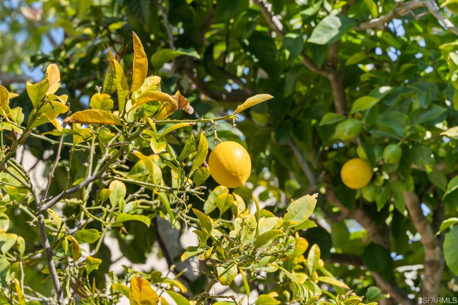 307 Chattanooga Street