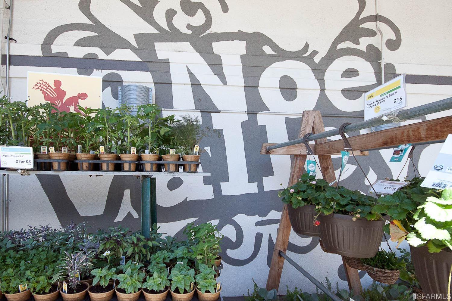 307 Chattanooga Street